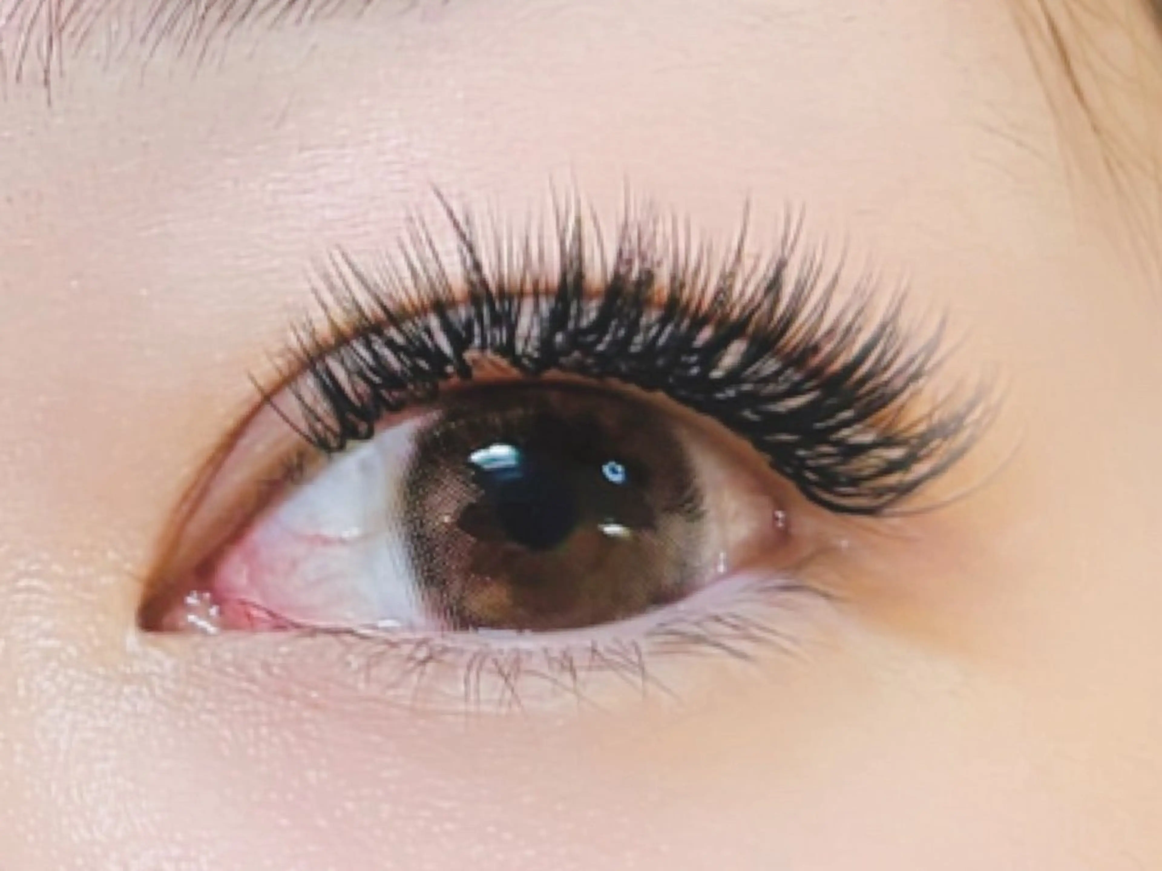 マツエク・マツパ 付け放題 バインドロック 束感まつ毛 フラットラッシュ パリジェンヌラッシュリフト マツエク オーロラ所属・AURORA RINAのマツエク・マツパデザイン