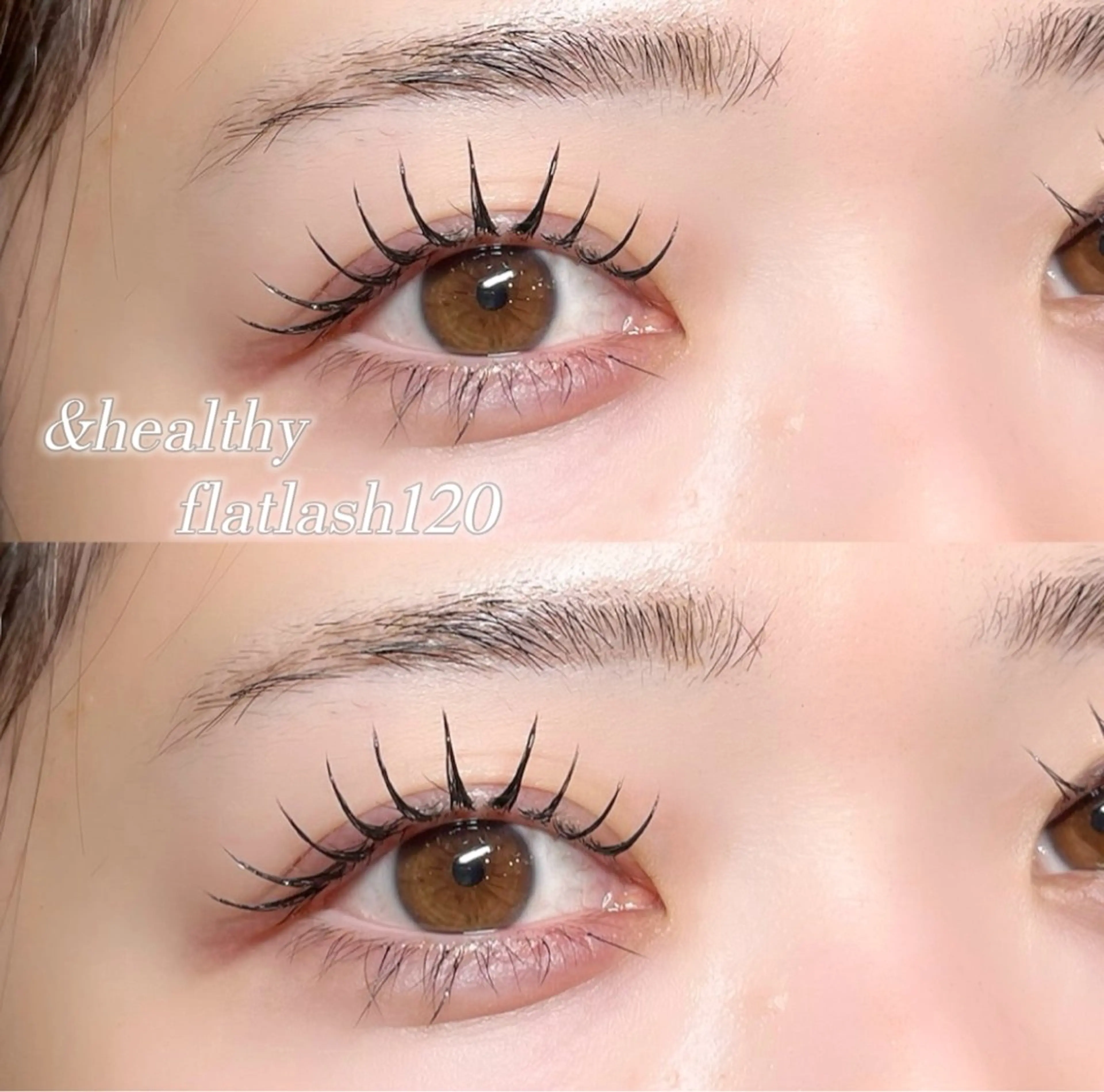 11.12月限定クーポン🎄&healthy ×LEDフラットラッシュ付け放題(60​〜​80本目安)【再来+¥500】の写真