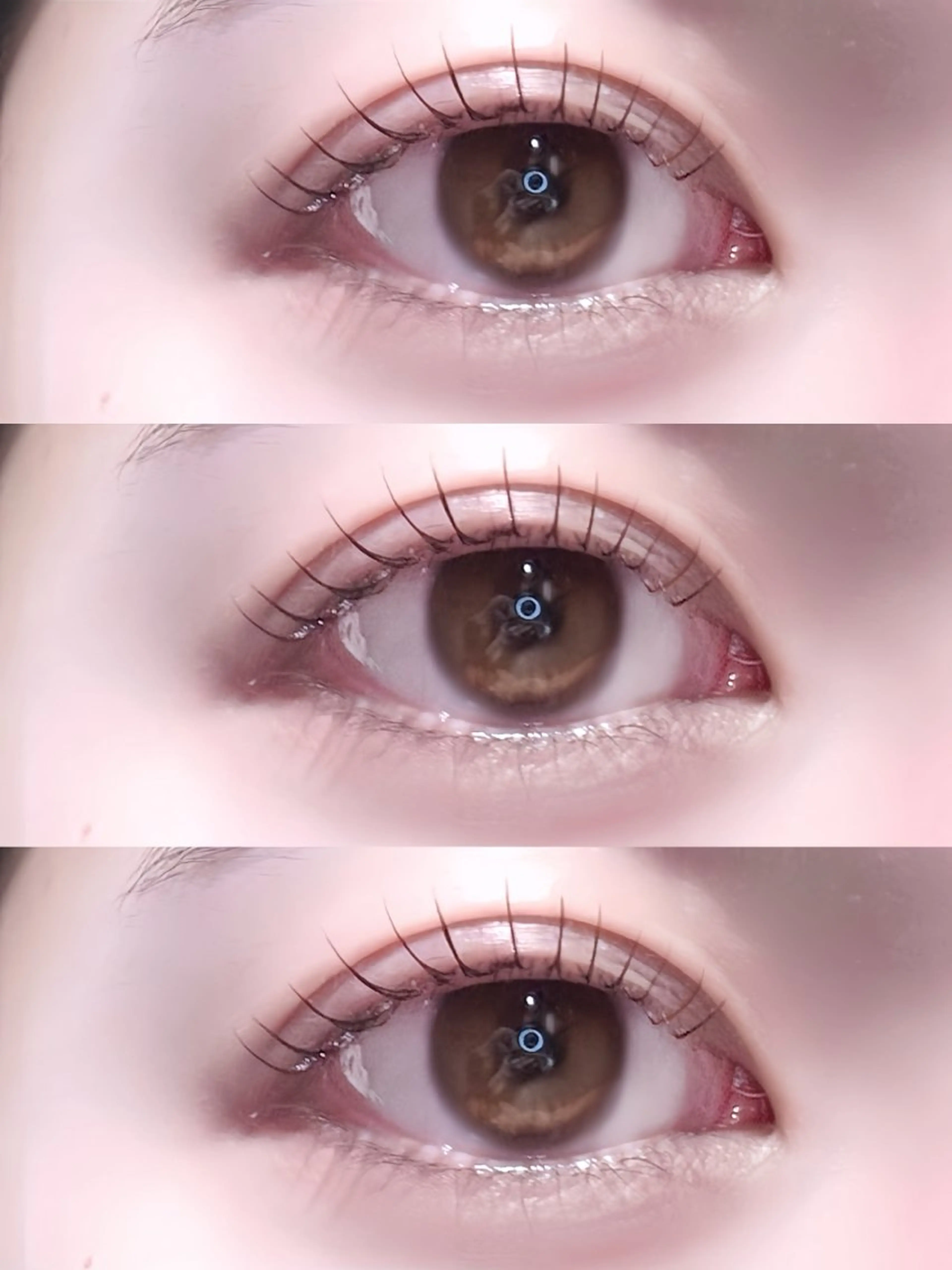 🤍セット割🤍🐚パリジェンヌorラッシュリフト＆アイブロウWAX🐚の写真