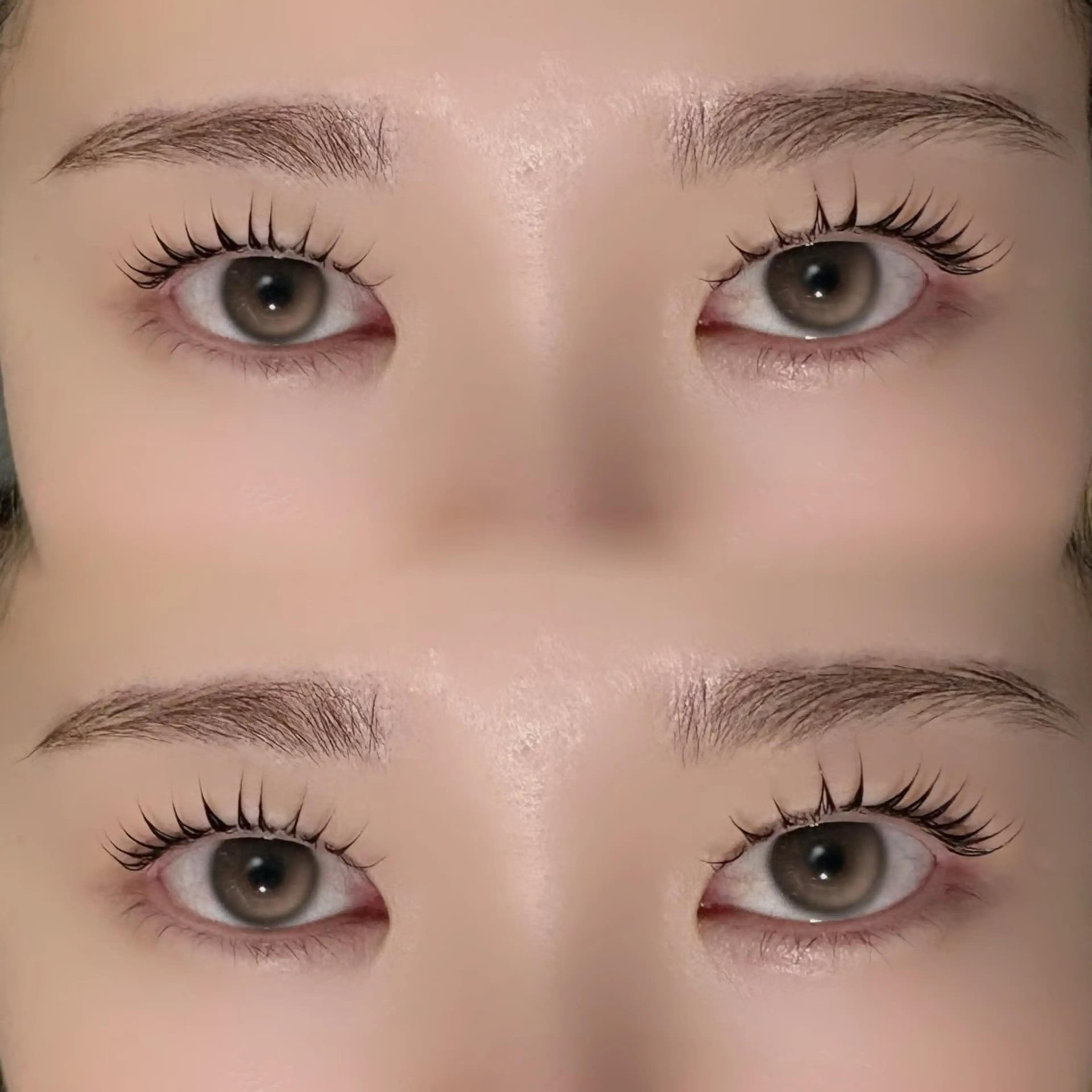 【学割U24】 まつ毛パーマ🌙の写真