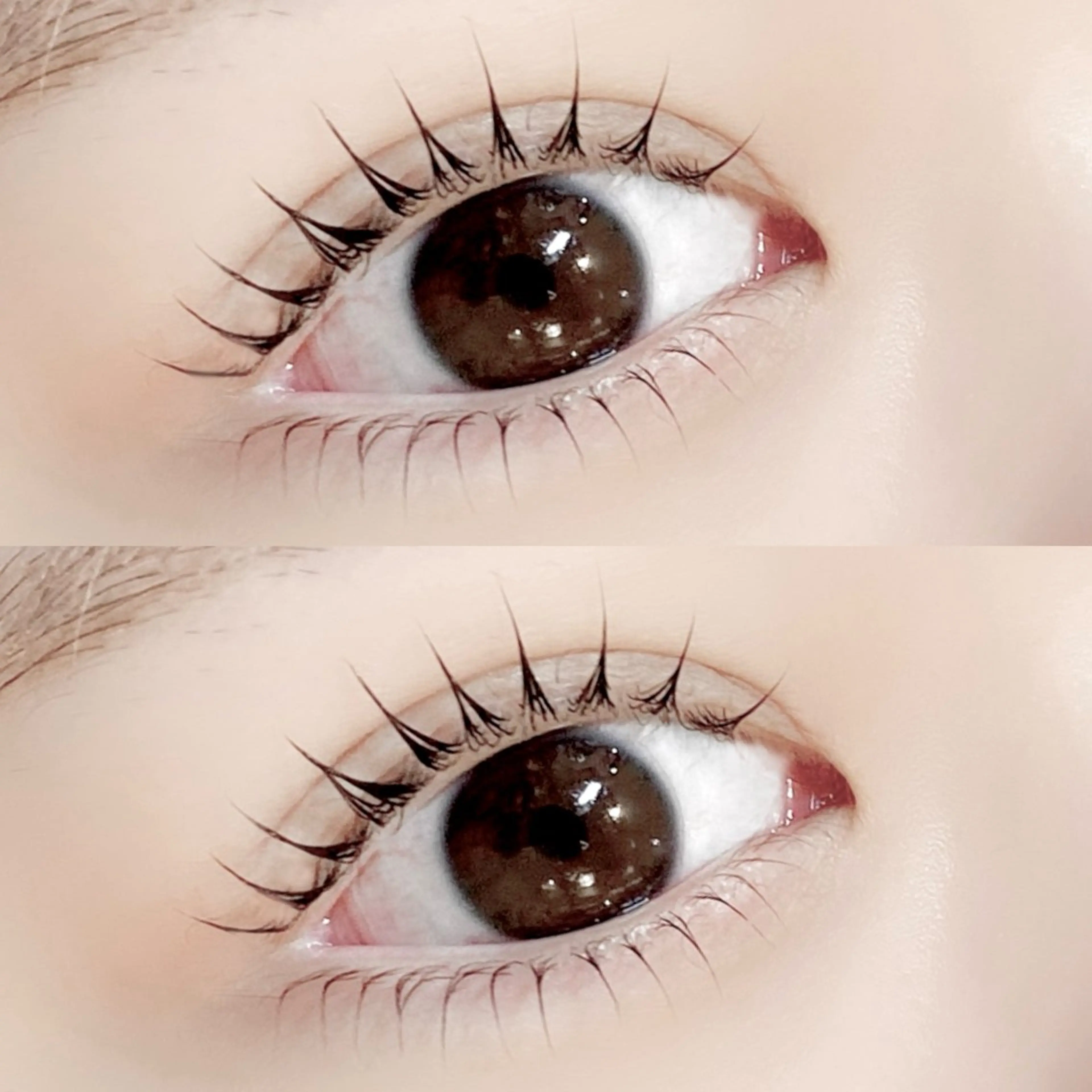 マツエク・マツパ Pupu lash(ププラッシュ)所属・🐶Pupu lash🐶のマツエク・マツパデザイン