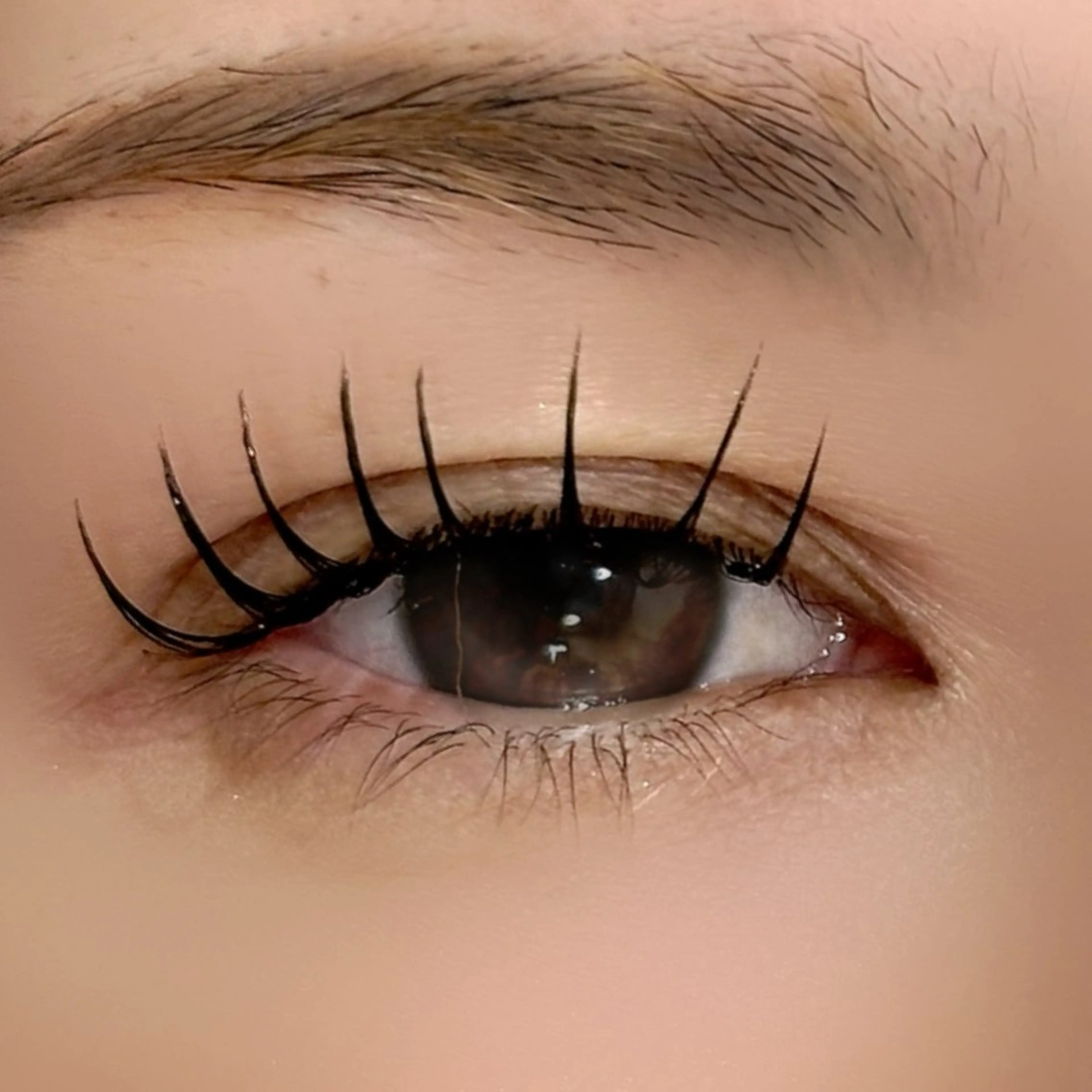 LEDマツエク100本の写真