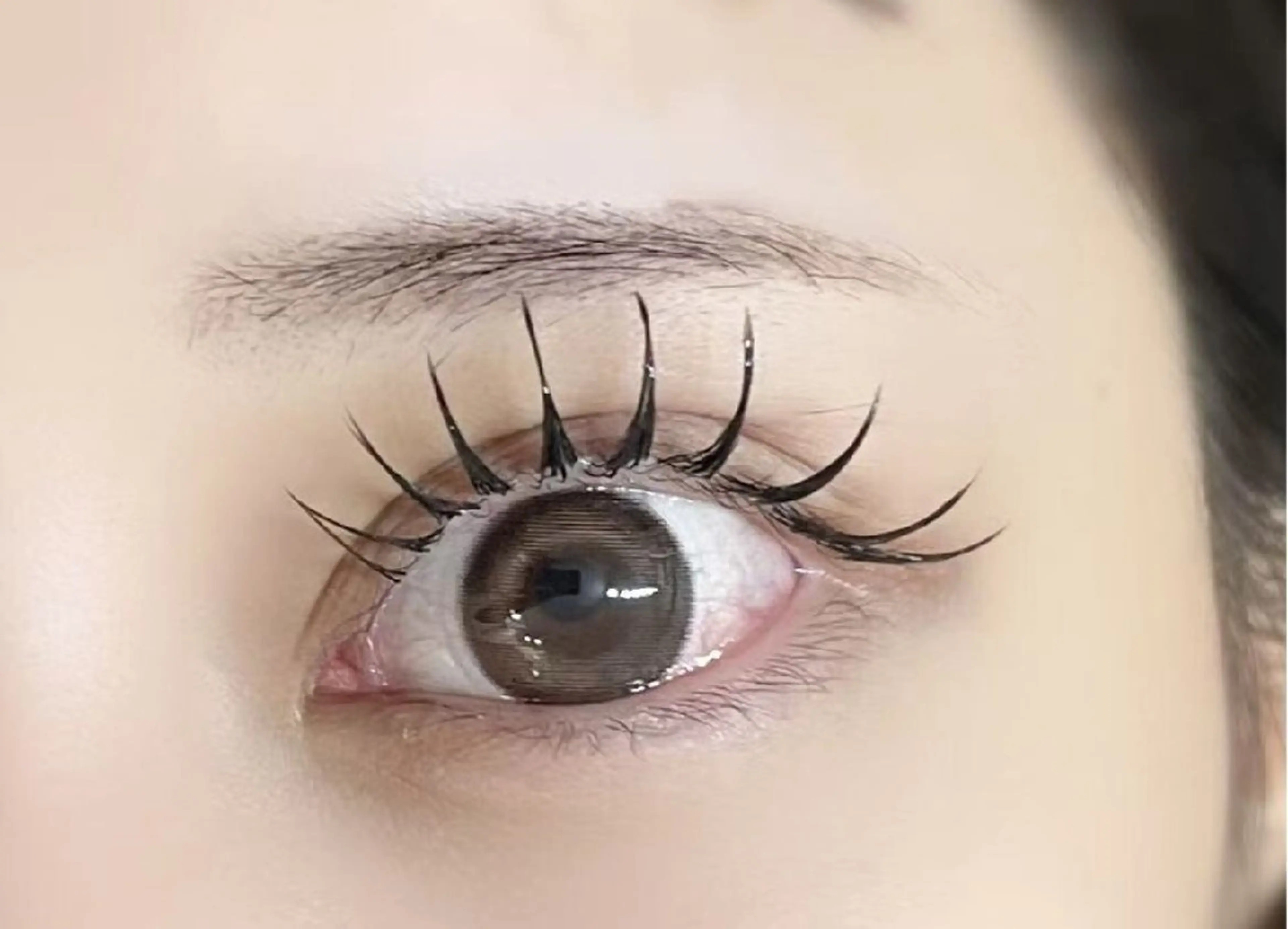 マツエク・マツパ アレグレス所属・アレグレス@池袋 🌹大人気店🌹のマツエク・マツパデザイン