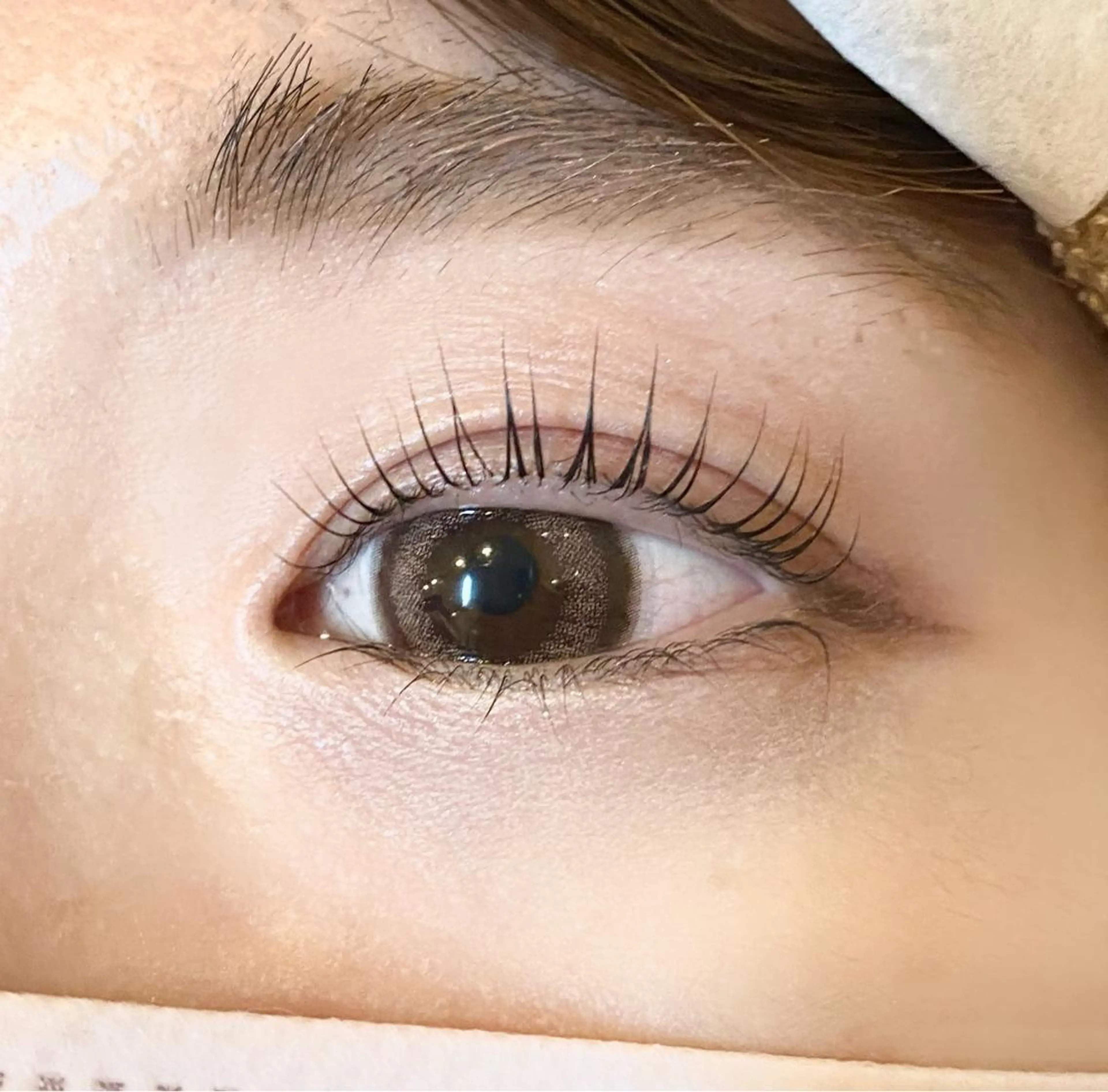マツエク・マツパ DaisyLash 京橋店 杉本のマツエク・マツパデザイン