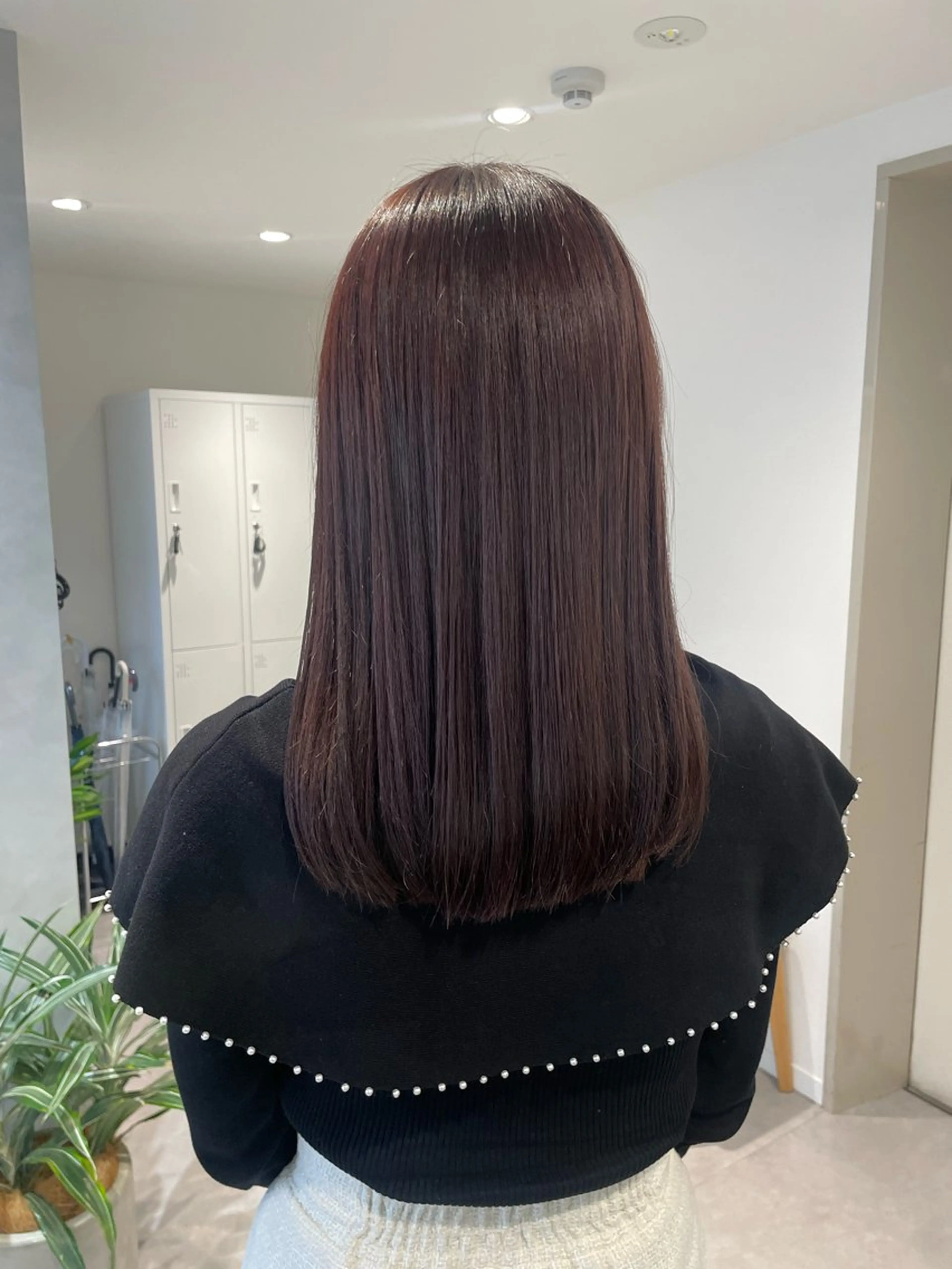 セミロング カラー Hatsune 🐯レイヤーカットのヘアスタイル