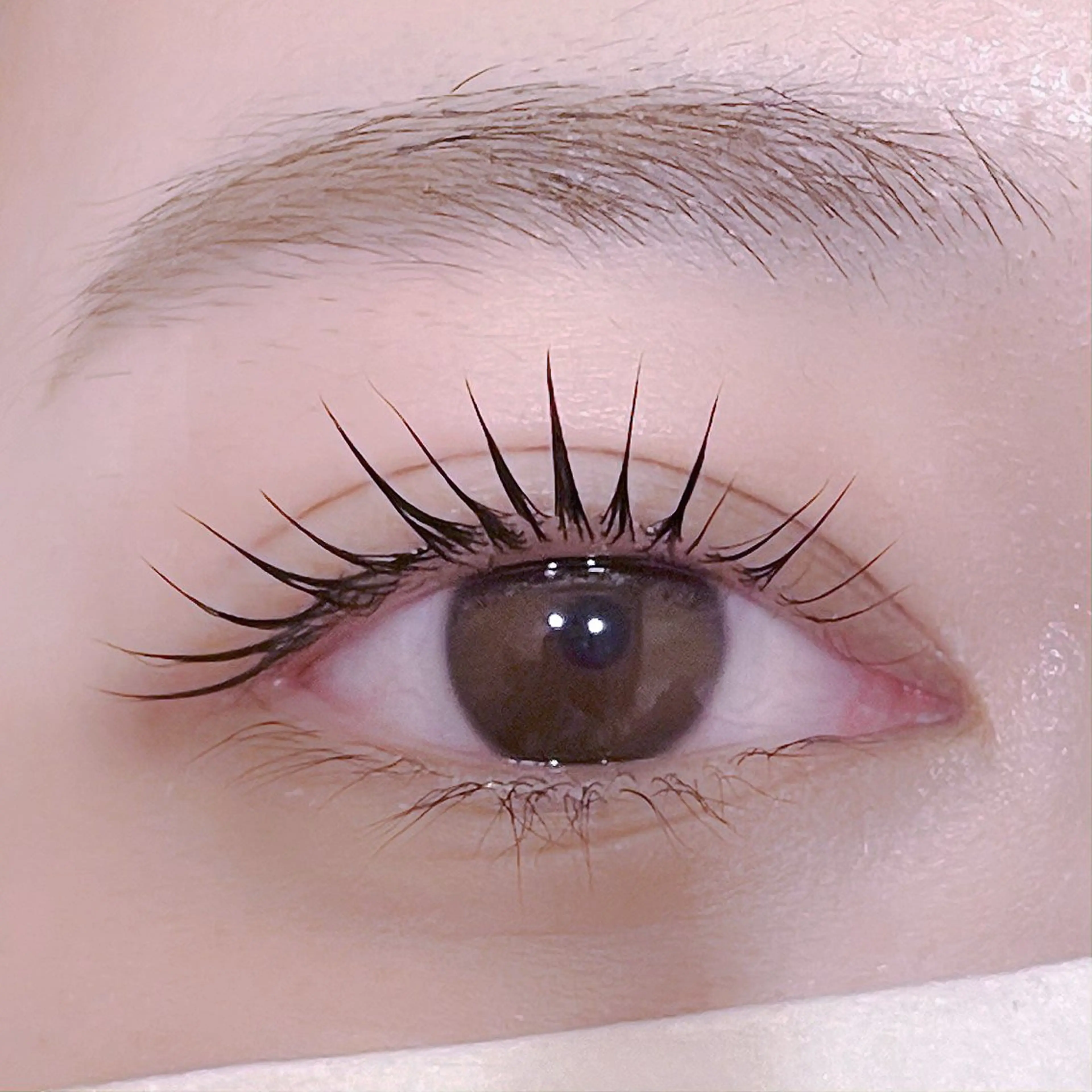 マツエク・マツパ pono大宮東口店 店長🩰AOHA🩰のマツエク・マツパデザイン