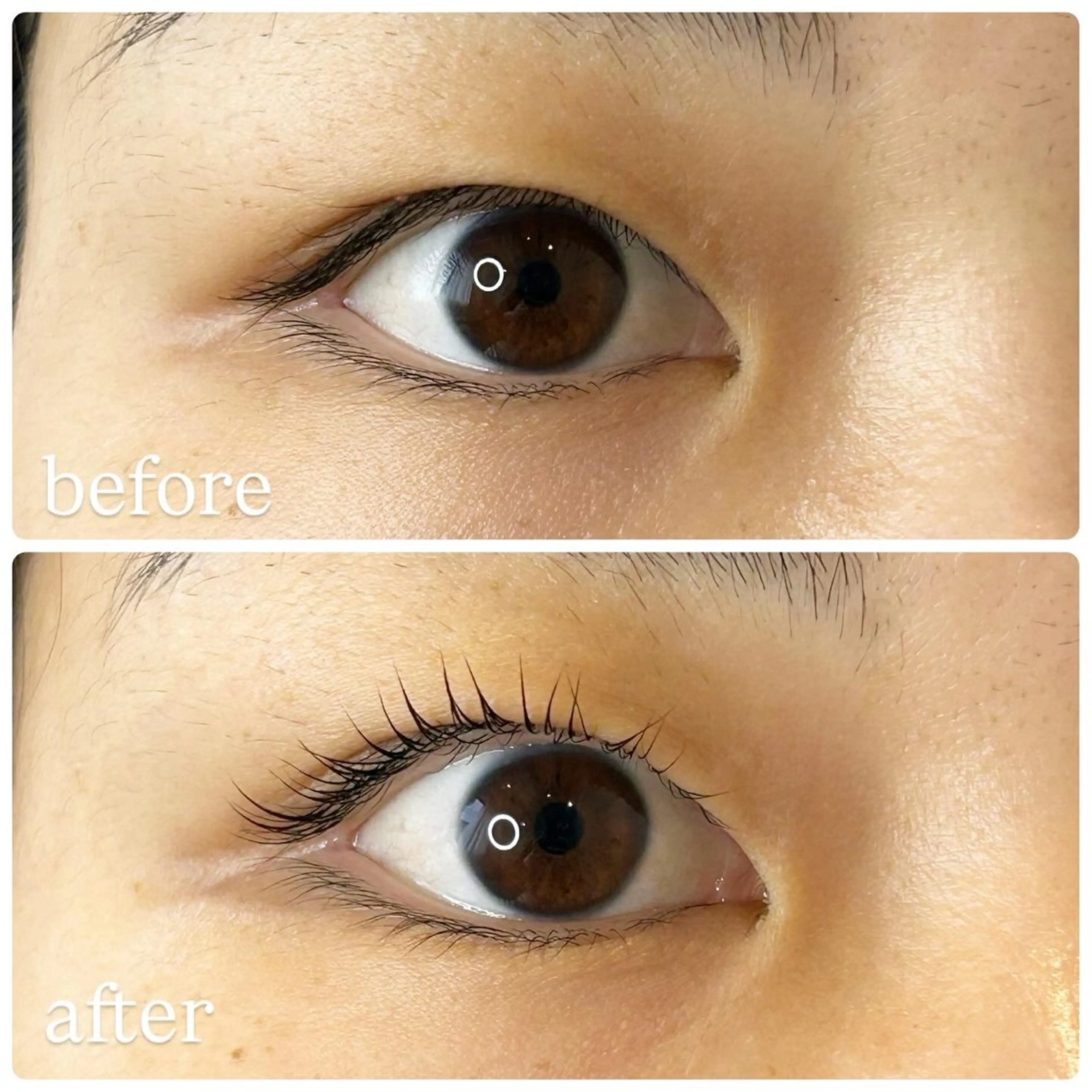 マツエク・マツパ 一重×まつ毛パーマ 細川 la beaux中津のマツエク・マツパデザイン