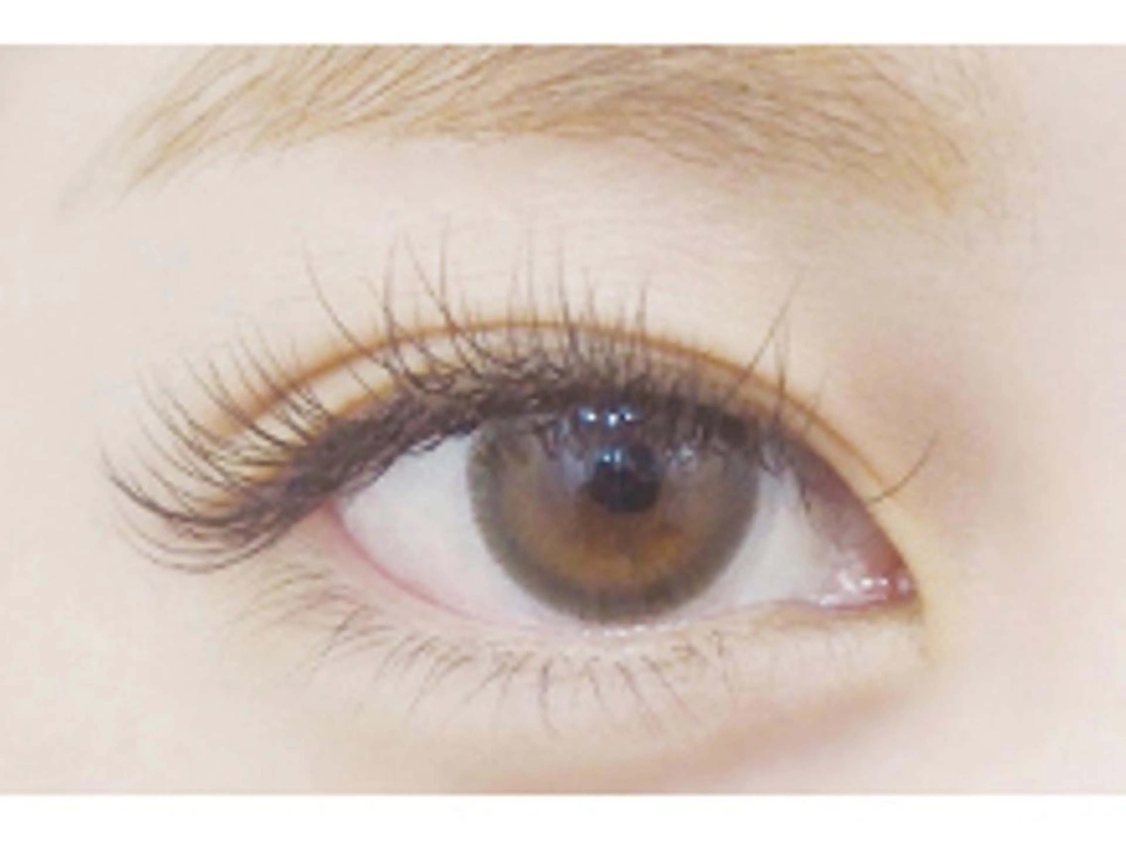 マツエク・マツパ カラーマツエク Dカール セーブル glee 川口駅前店のマツエク・マツパデザイン