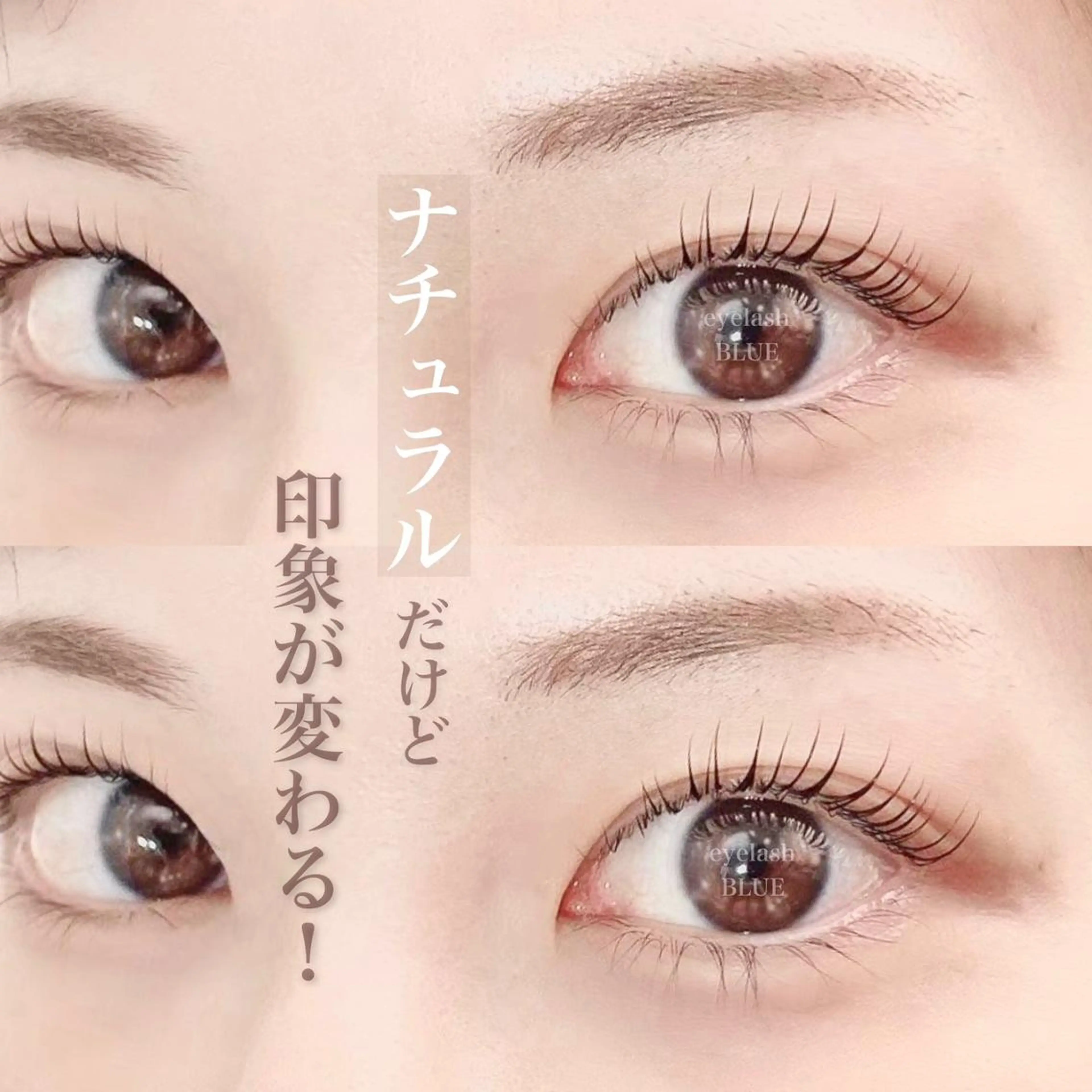 🦋フラットラッシュ上下振り分け120本🦋の写真