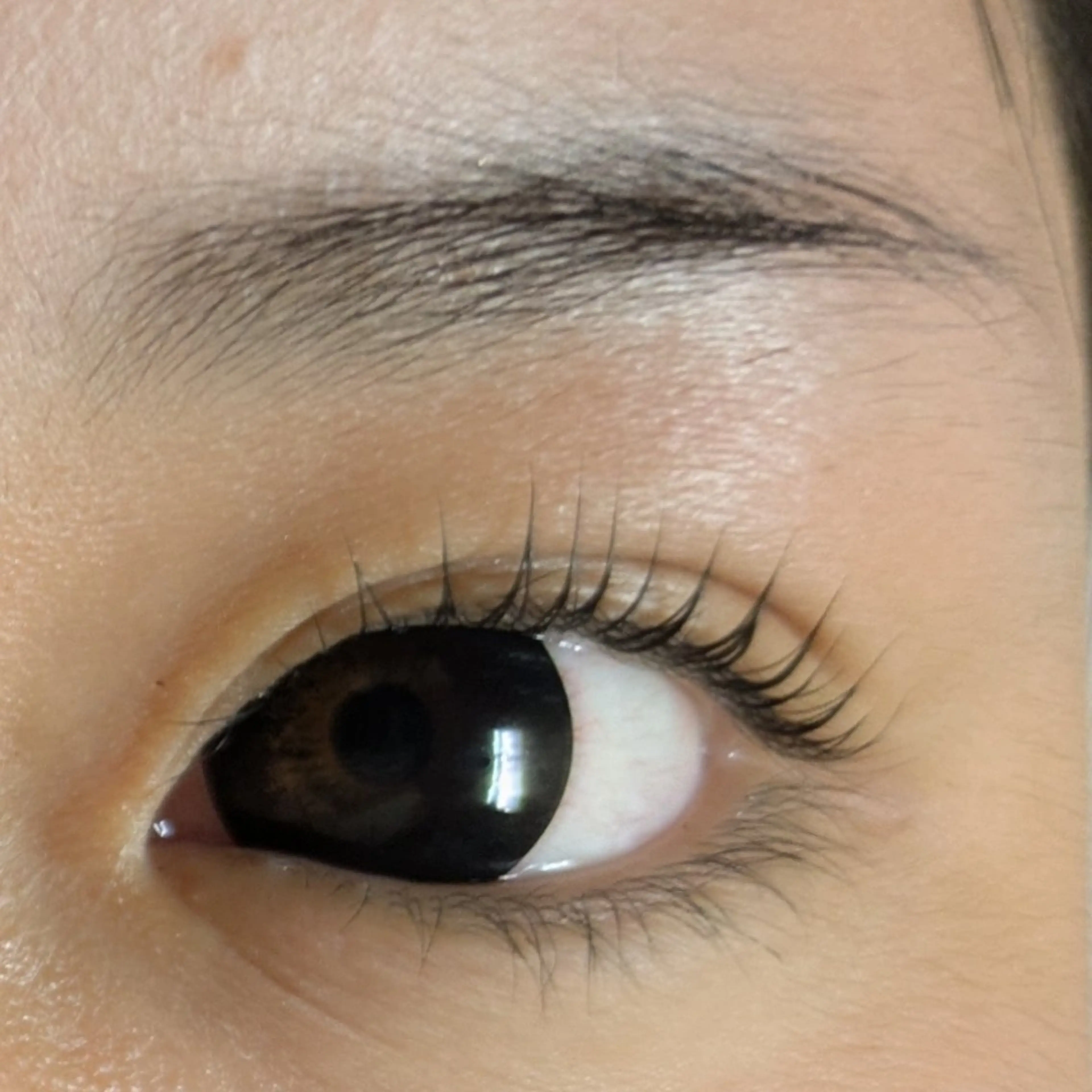 マツエク・マツパ Lカール ♡Saronica ♡のマツエク・マツパデザイン