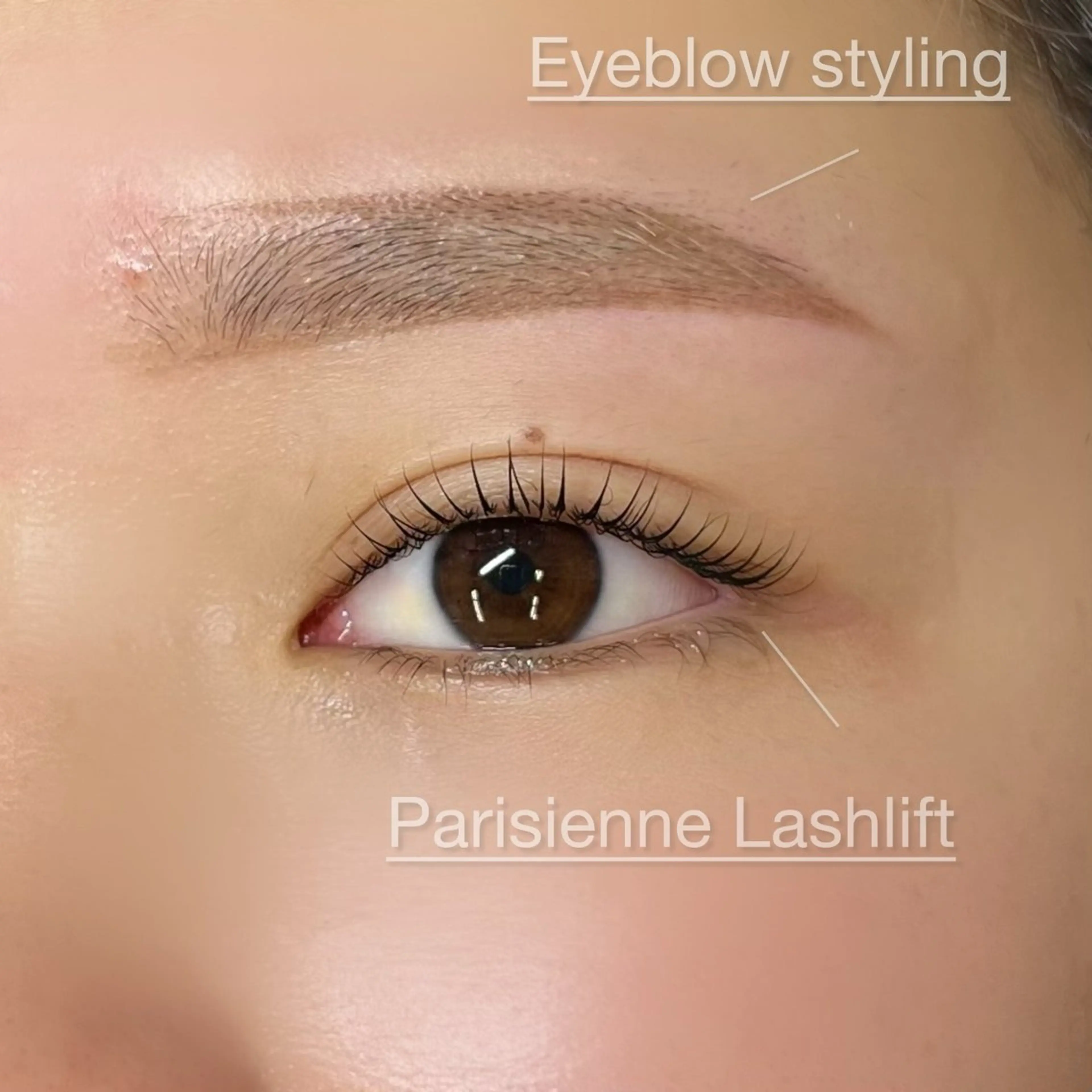 【☔️梅雨の時期にピッタリ☔️】アイブロウWAX+パリジェンヌorまつ毛パーマ👀✨️ケラチントリートメント付き🫧‪の写真