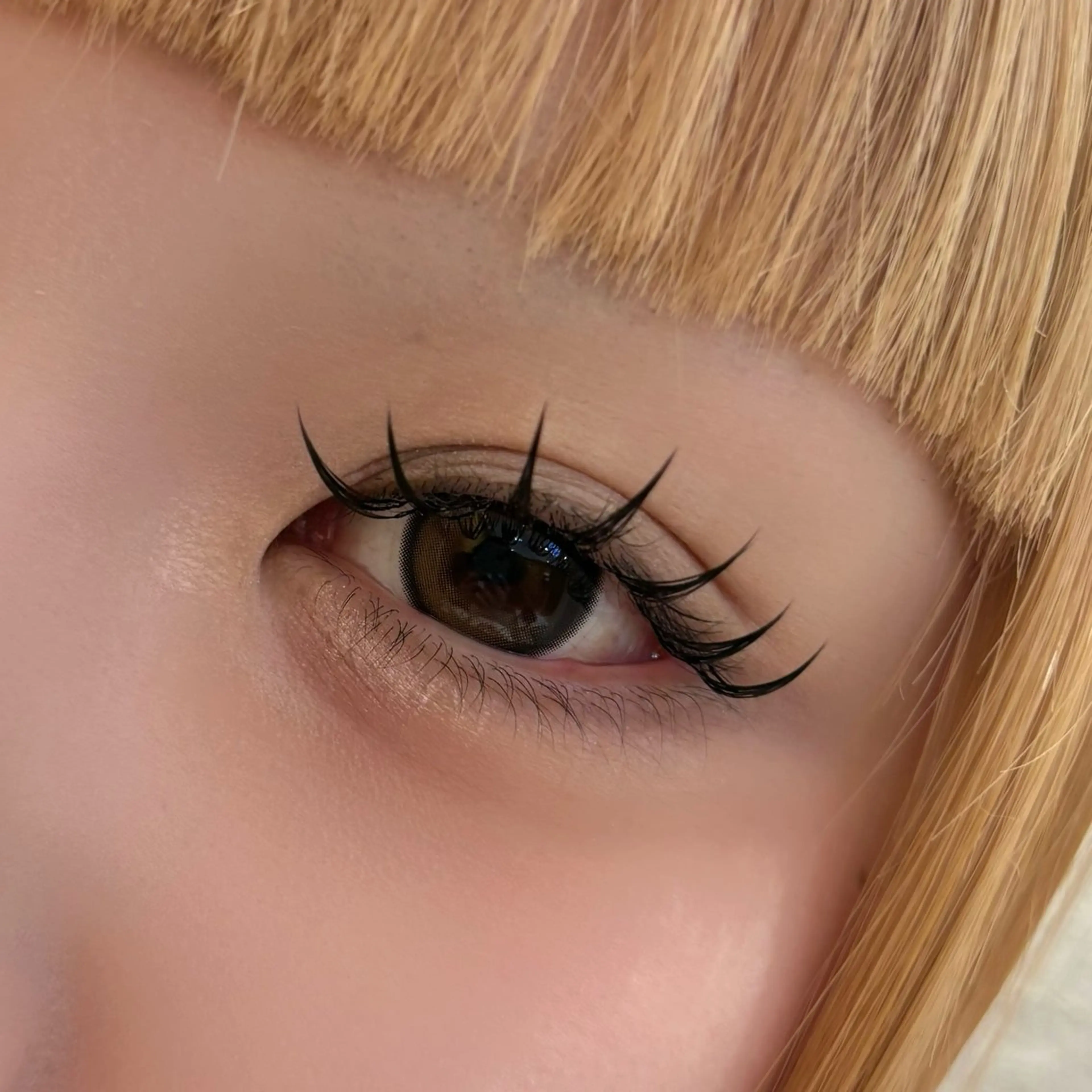 【撮影OKの方限定✨】LED3Dラッシュ240本(80束)＋コーティング仕上げ 🪽の写真