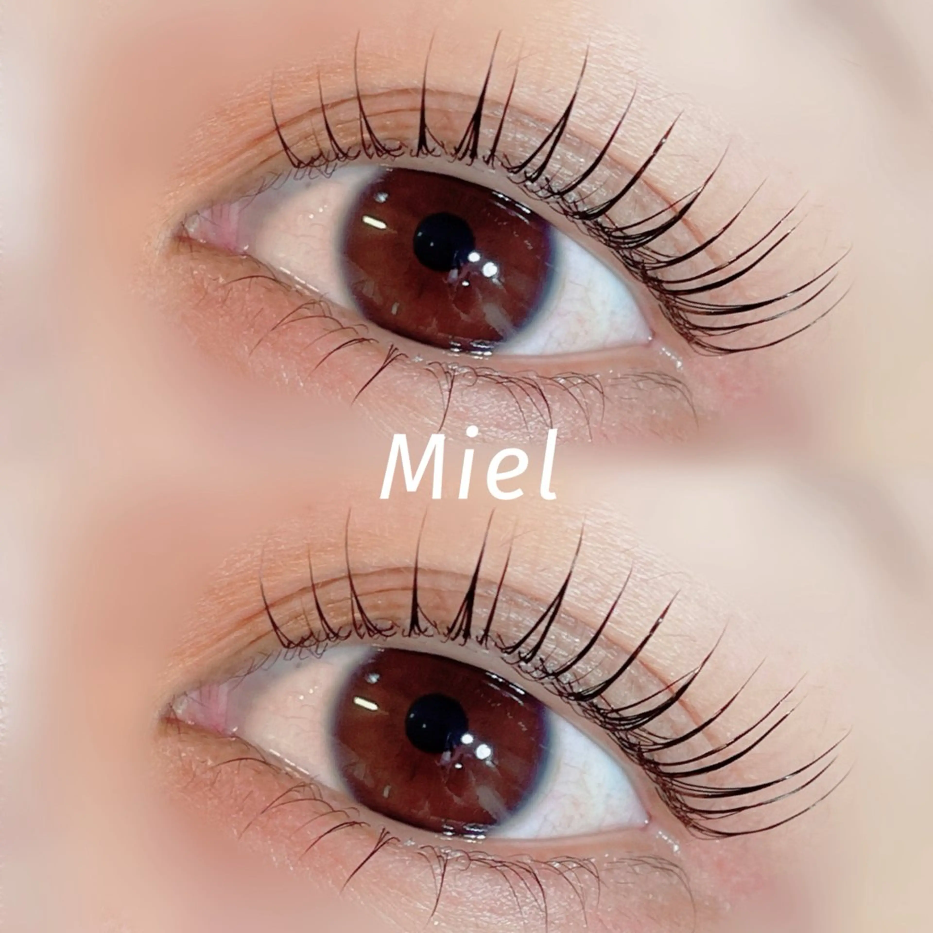 マツエク・マツパ パリジェンヌラッシュリフト まつげパーマ Mori ✨Mystical✨のマツエク・マツパデザイン