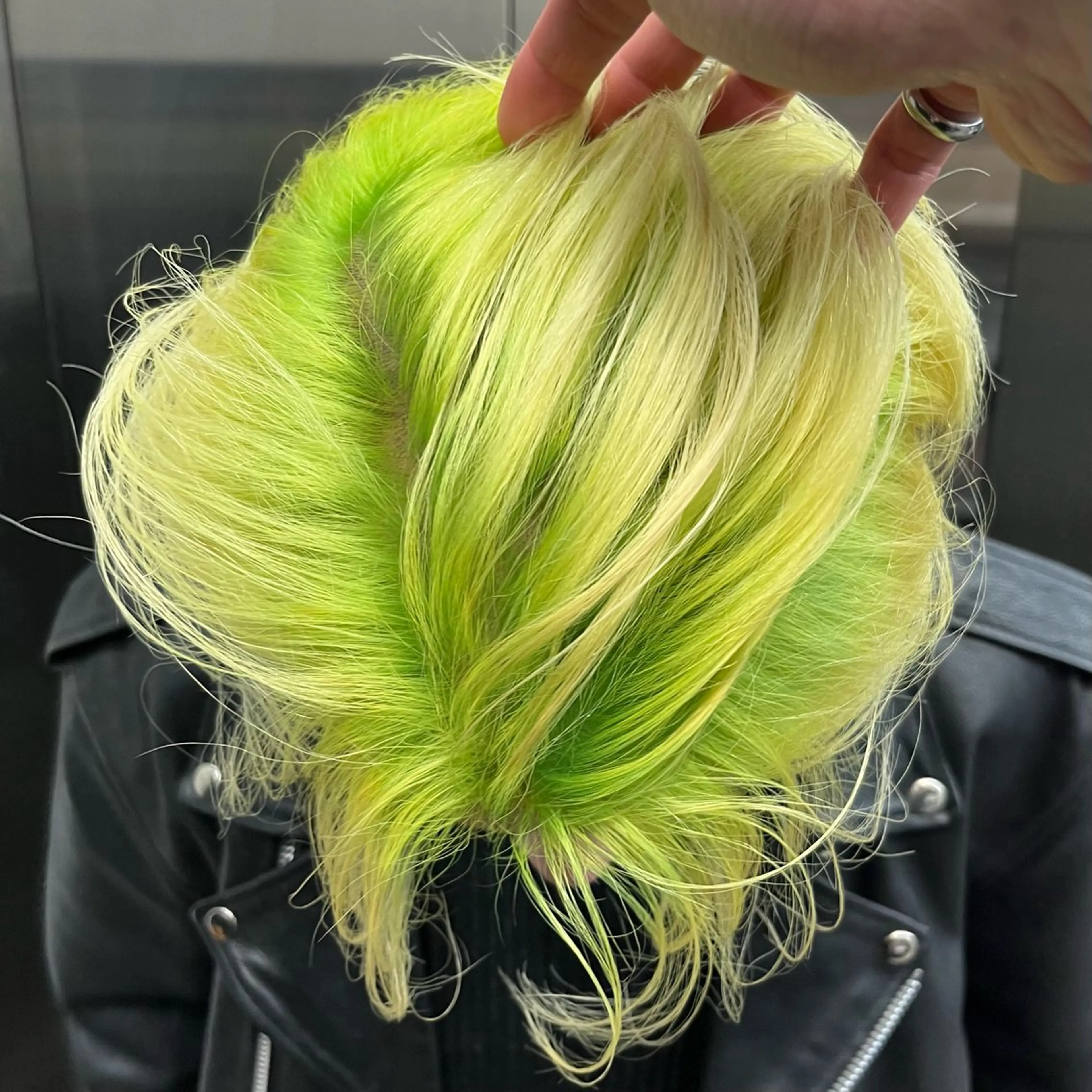 ショート カラー カット ヘアカラー トリートメント ウルフとデザイン カラーの神のヘアスタイル