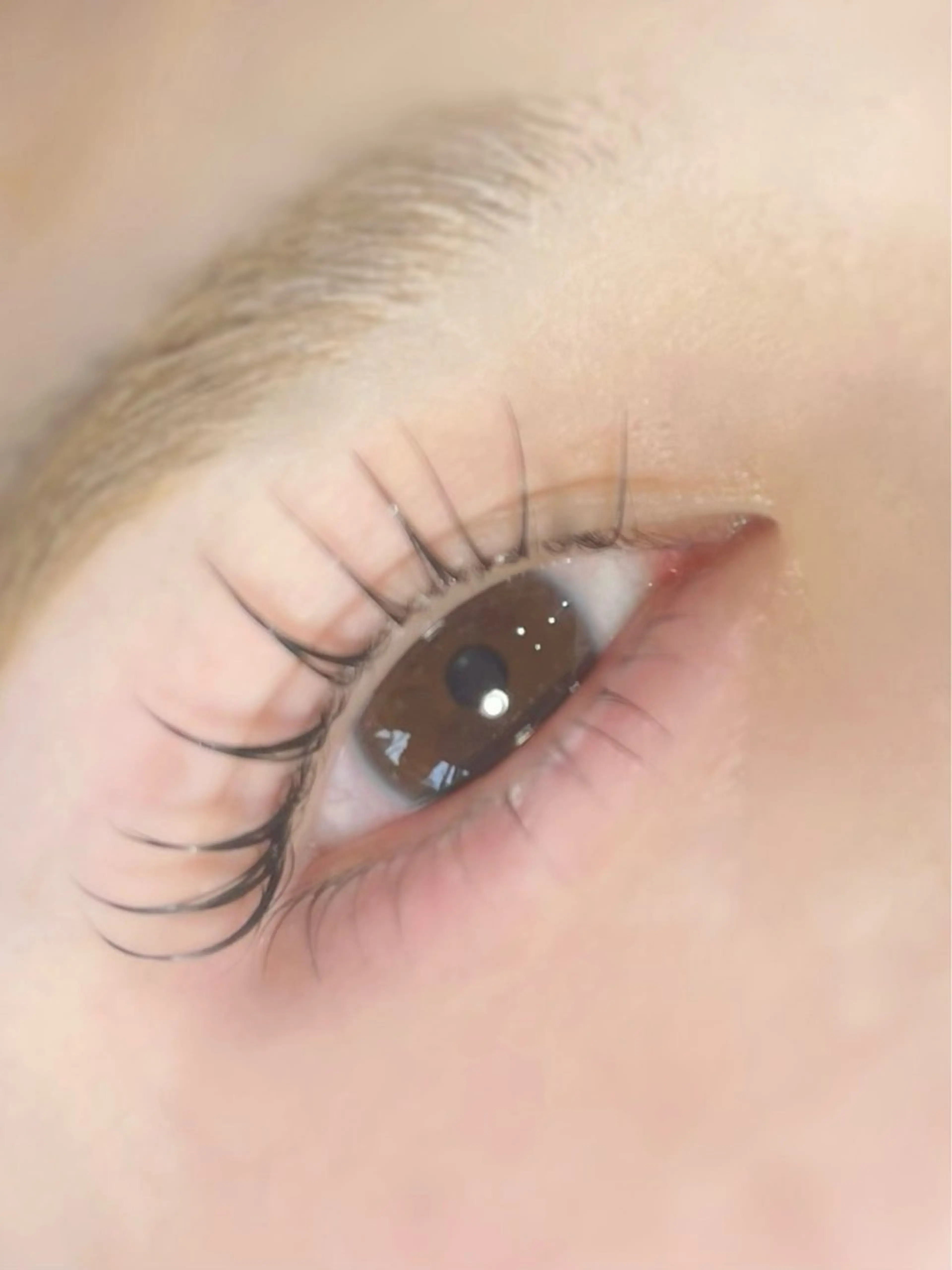 マツエク・マツパ パリジェンヌラッシュリフト MUSE  土気 kanon🍒のマツエク・マツパデザイン