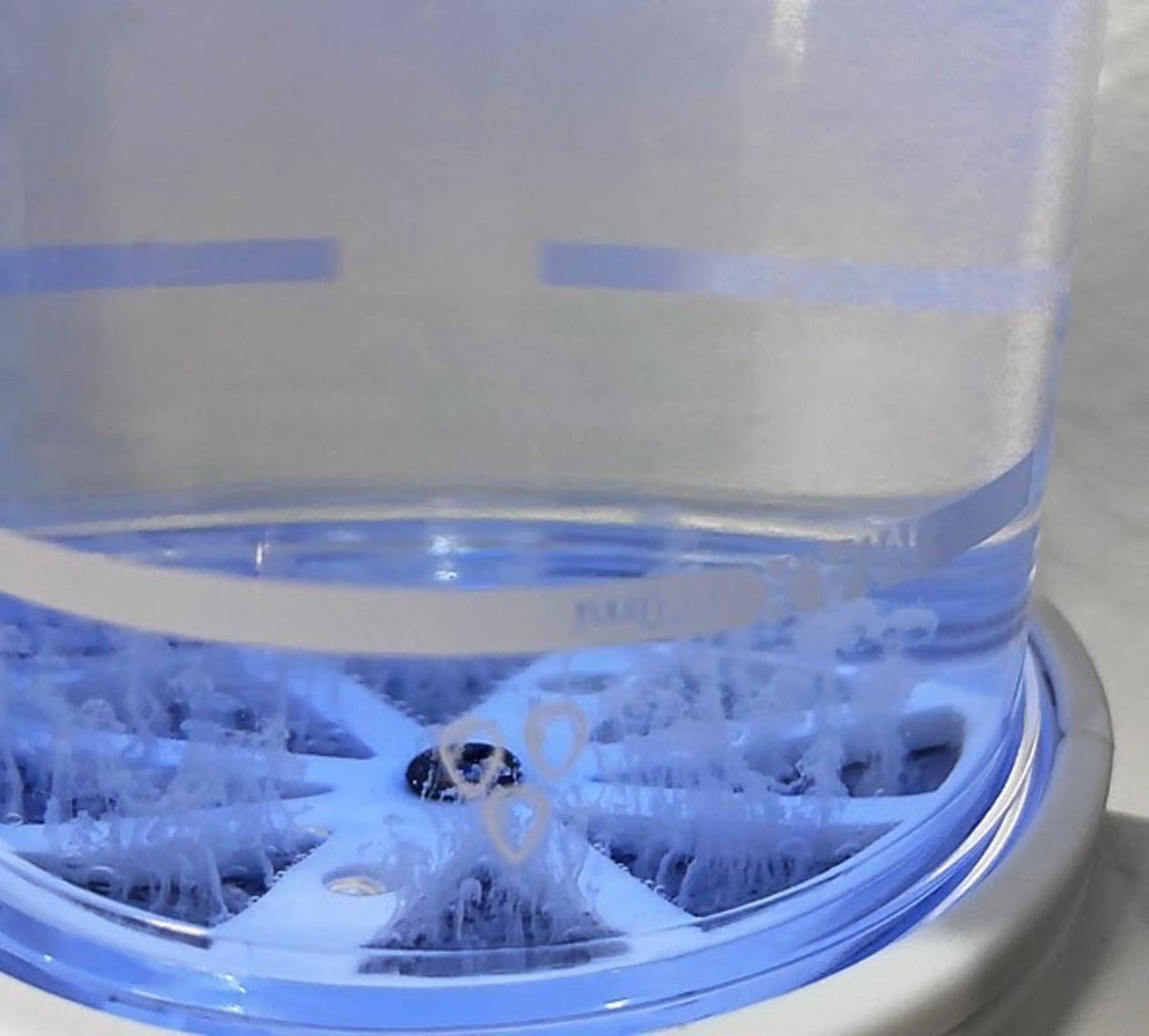 エステ リラク Porte beauteオーナーのエステ・リラクイメージ