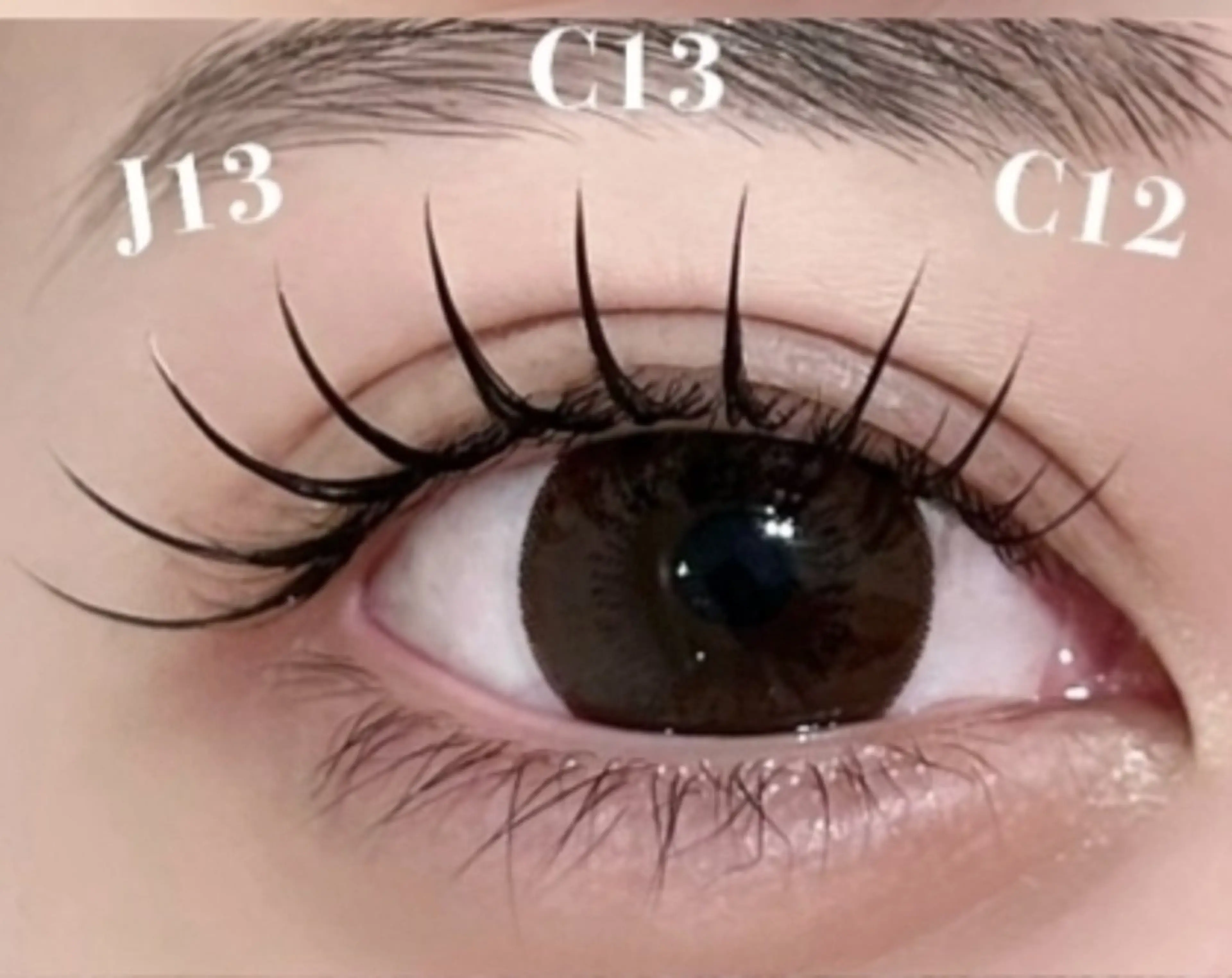 マツエク・マツパ SUN WENのマツエク・マツパデザイン