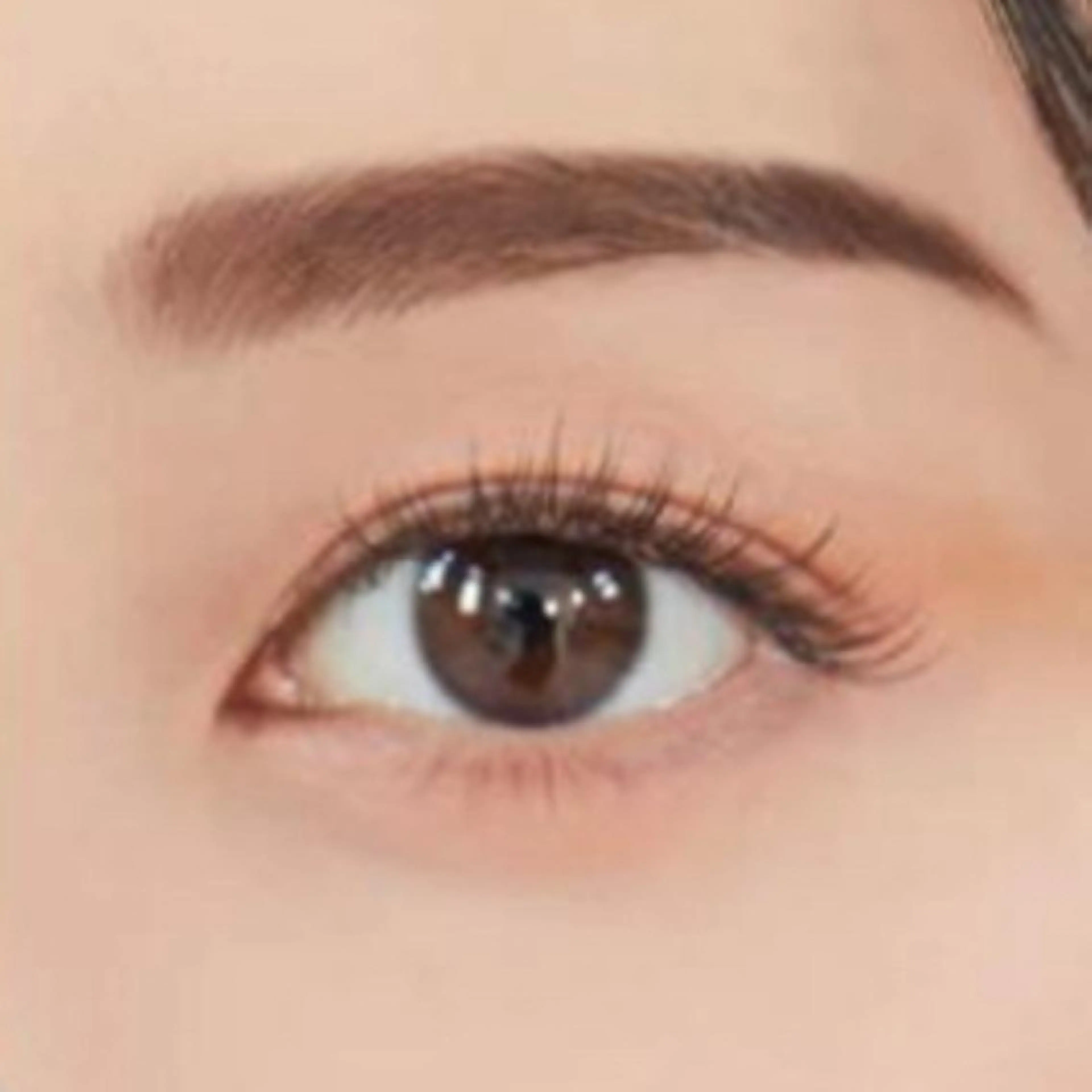 アイブロウ ワックス脱毛 眉カット その他(アイブロウ) 田村 莉子のマツエク・マツパデザイン