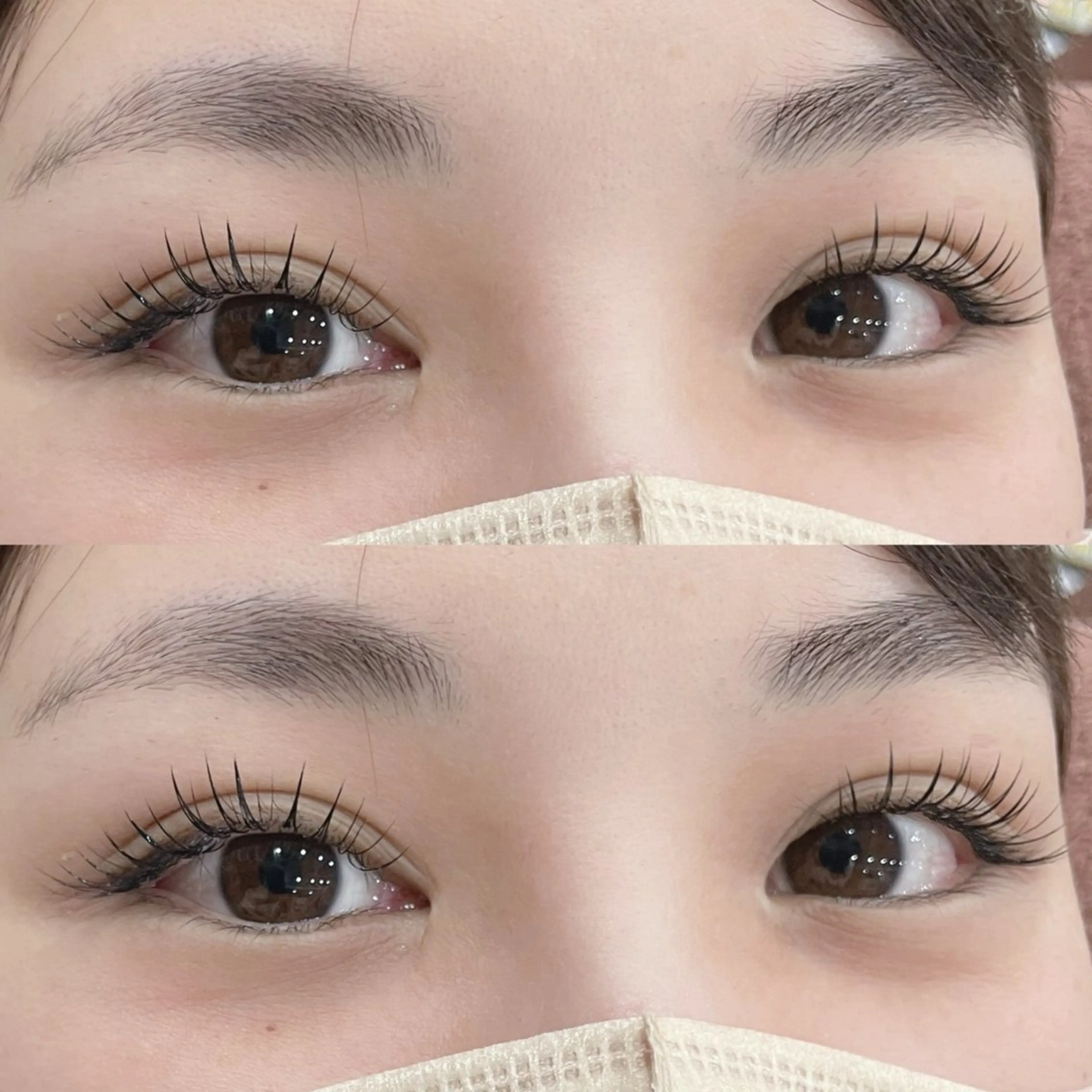 【初回オフ無料】超軽量🌻フラットラッシュ120本   ¥6,330の写真