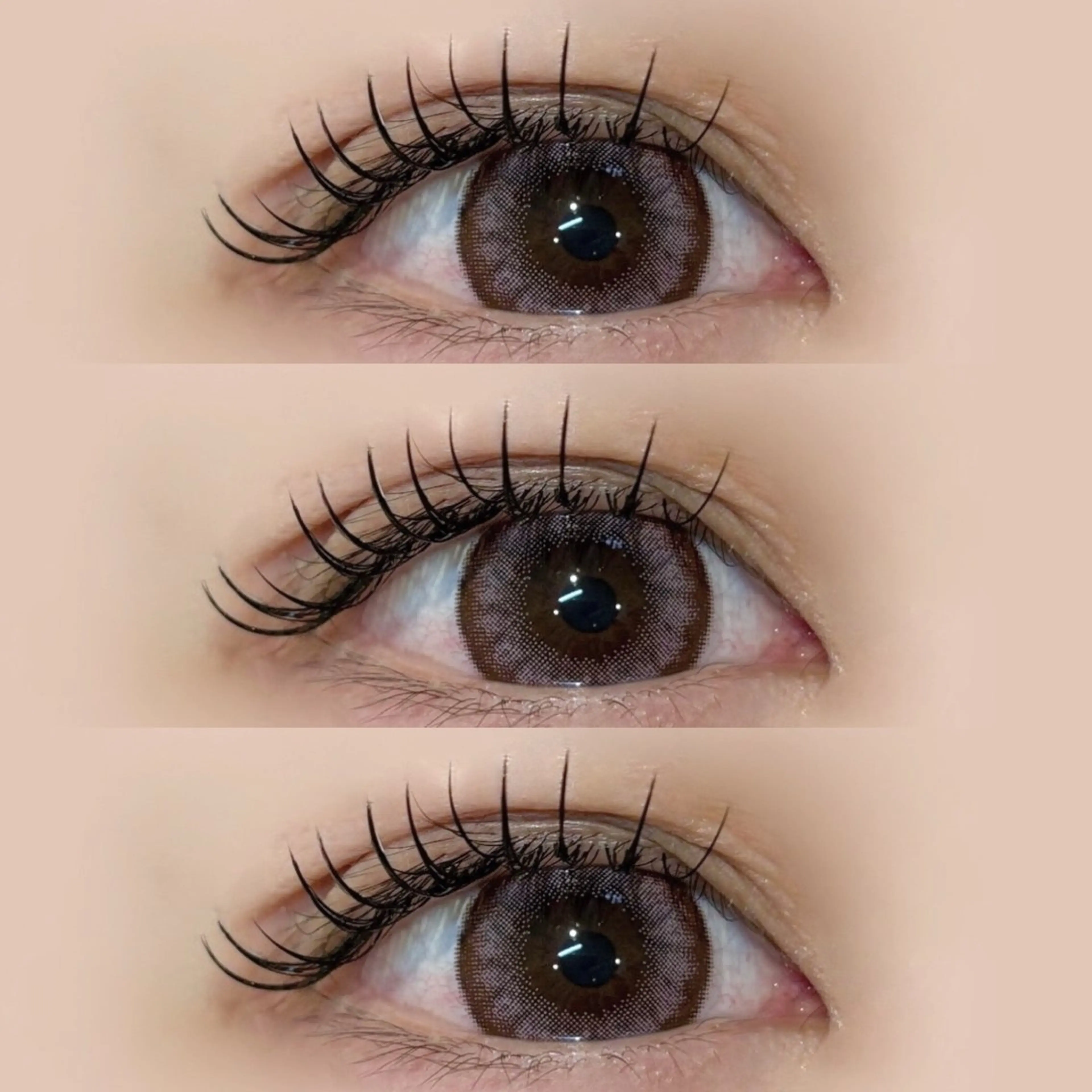 フラットラッシュ100本まで　✨ご新規様オフ無料✨の写真