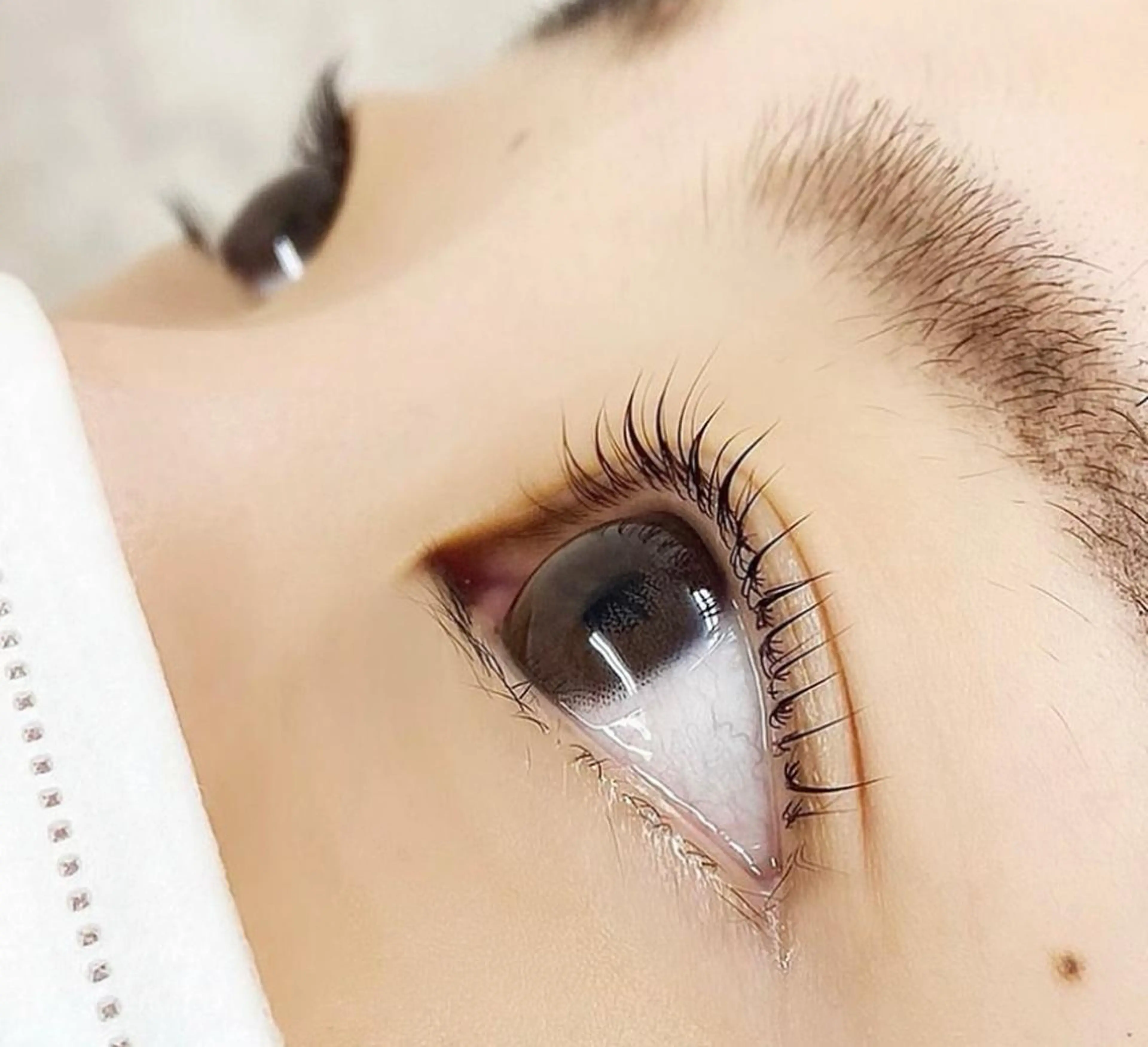 メンズ マツエク・マツパ アイブロウ ココラッシュ マルイファミリー溝の口所属・ココラッシュ溝の口 MOMOKA🐠のマツエク・マツパデザイン