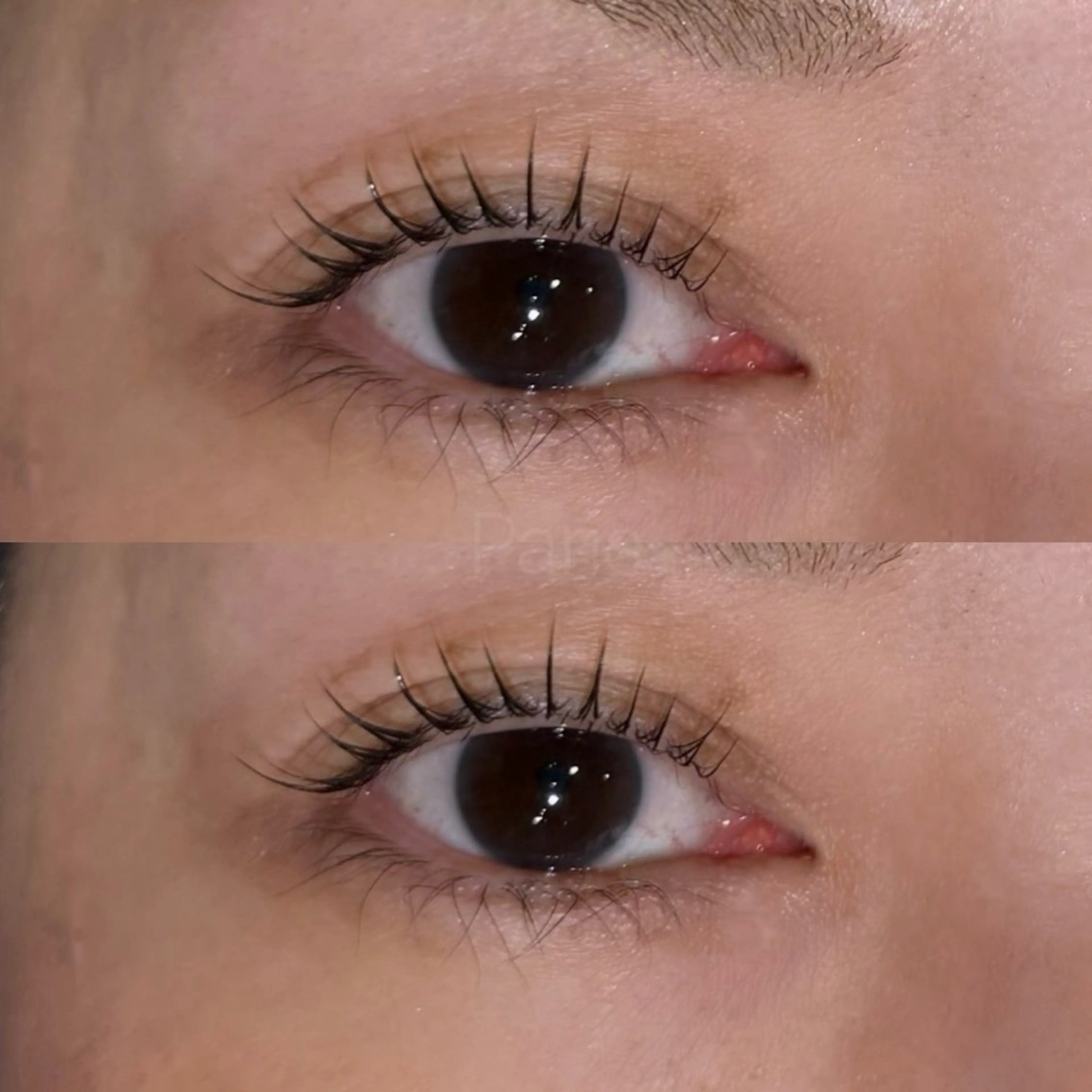 2回目以降 20%off🎶 まつげパーマ🌷の写真