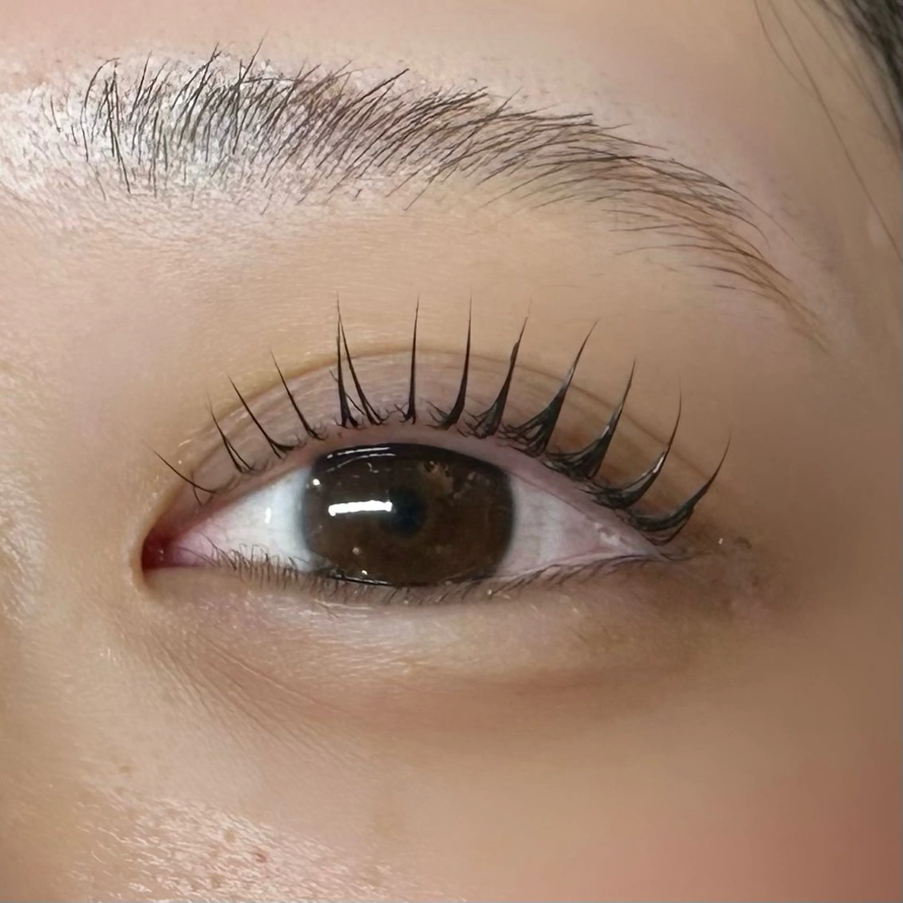 マツエク・マツパ マツパ 💠AYANE /吉祥寺💠のマツエク・マツパデザイン