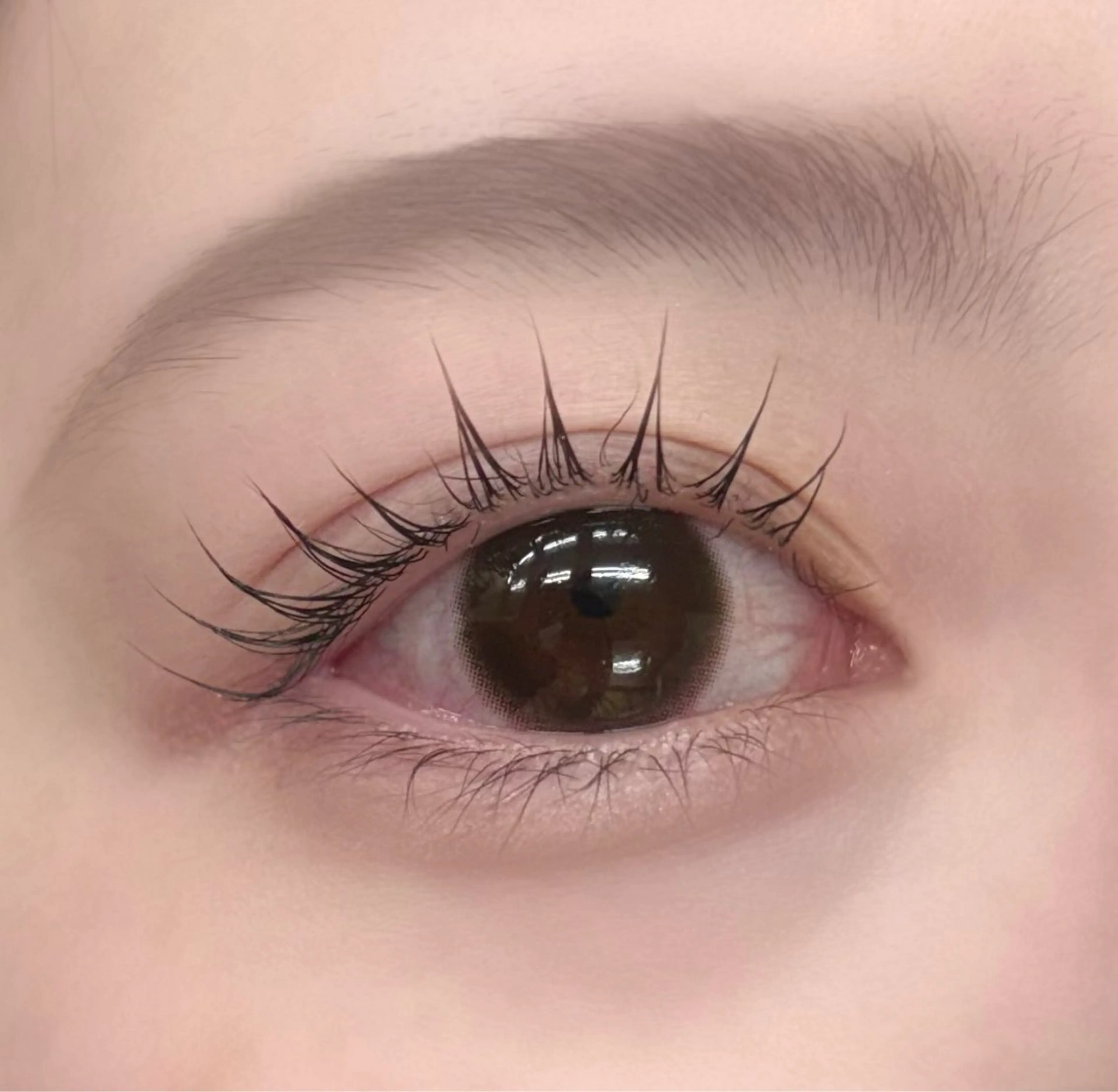 【4月13日15時30分​〜​】🤍ラッシュリフトモデル🤍（デザイン選択可能♪）の写真