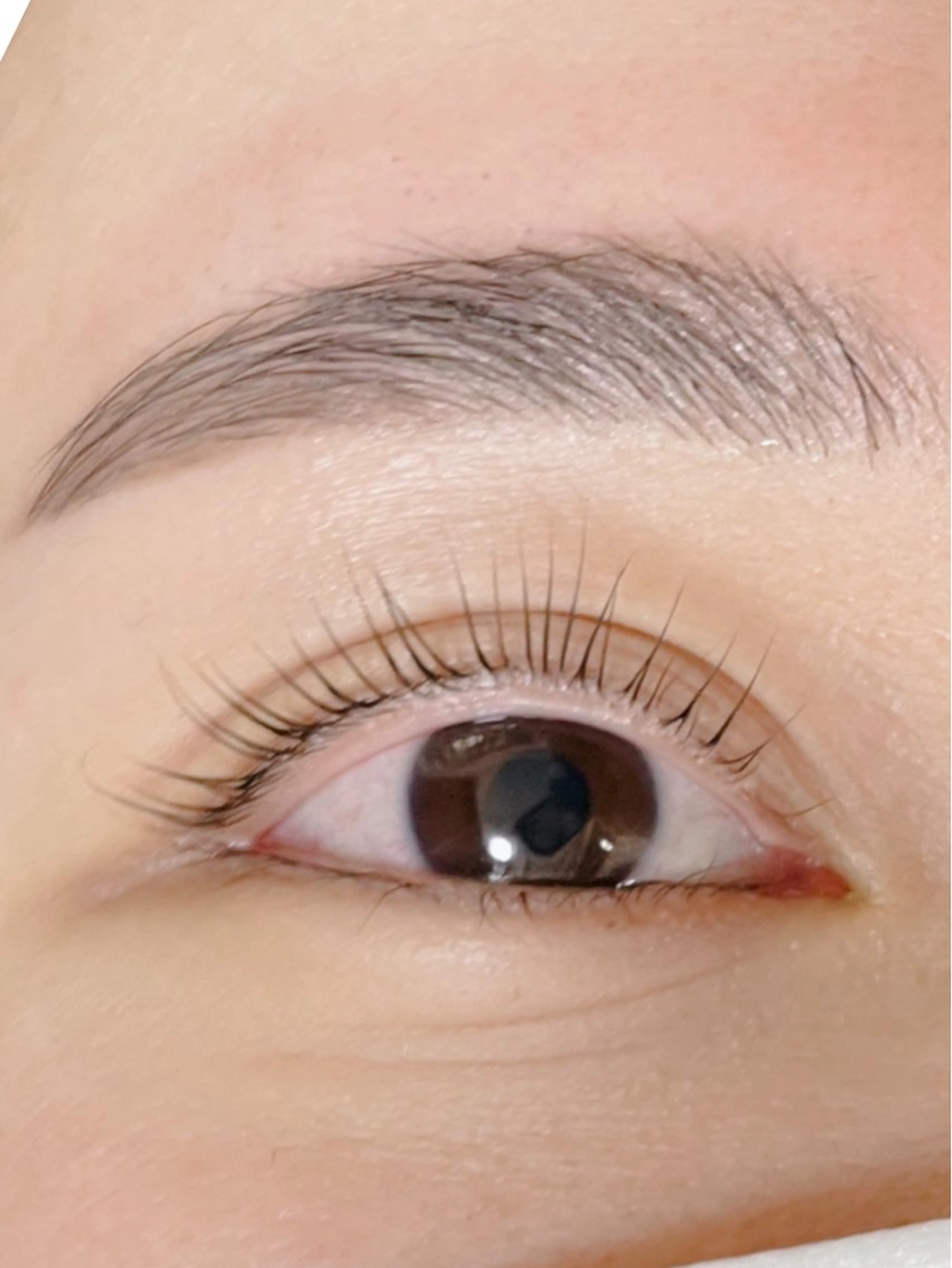 ラッシュリフト＋眉ワックス＋眉パーマの写真