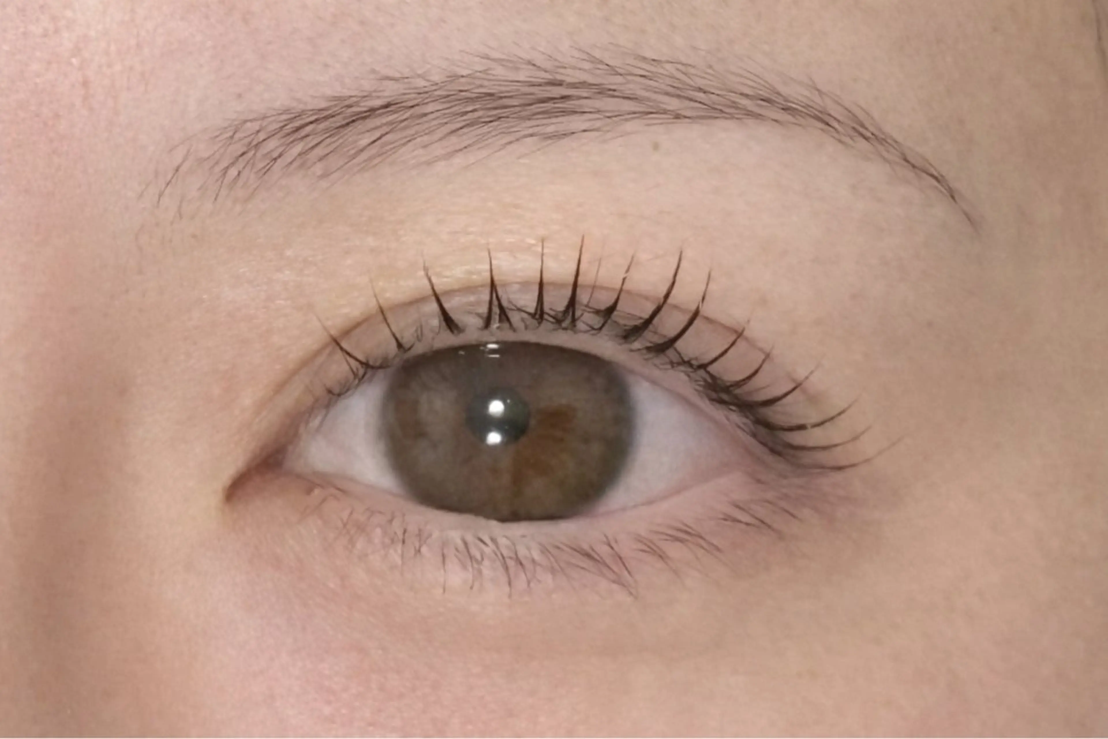 上まつ毛パーマ💐仕上げコーティング付きです🫧5分前のご来店お願い致します🙇‍♀️の写真