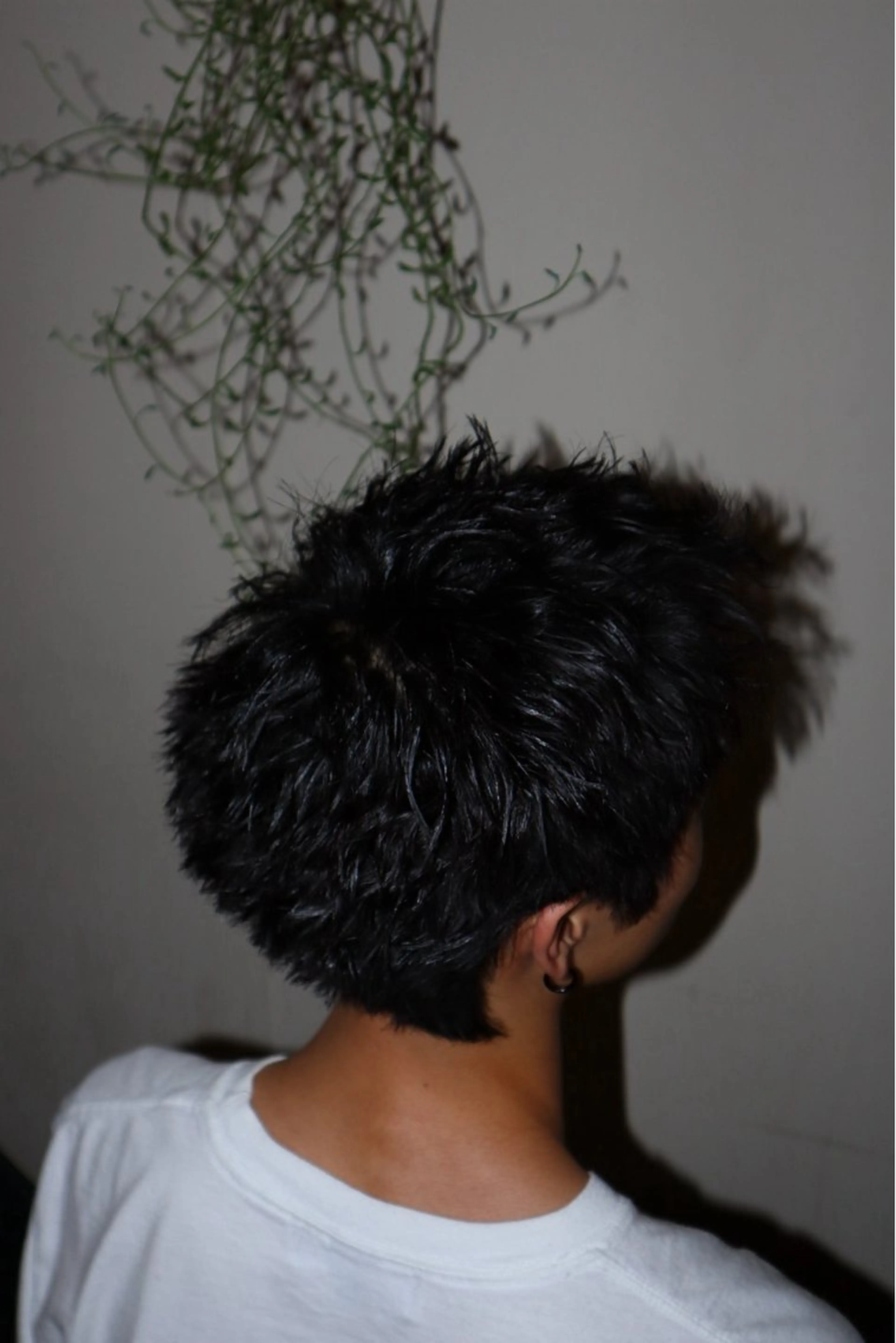 ショート 2Hbarbershop新宿理容室所属・【無料カット】森 拓斗のヘアスタイル