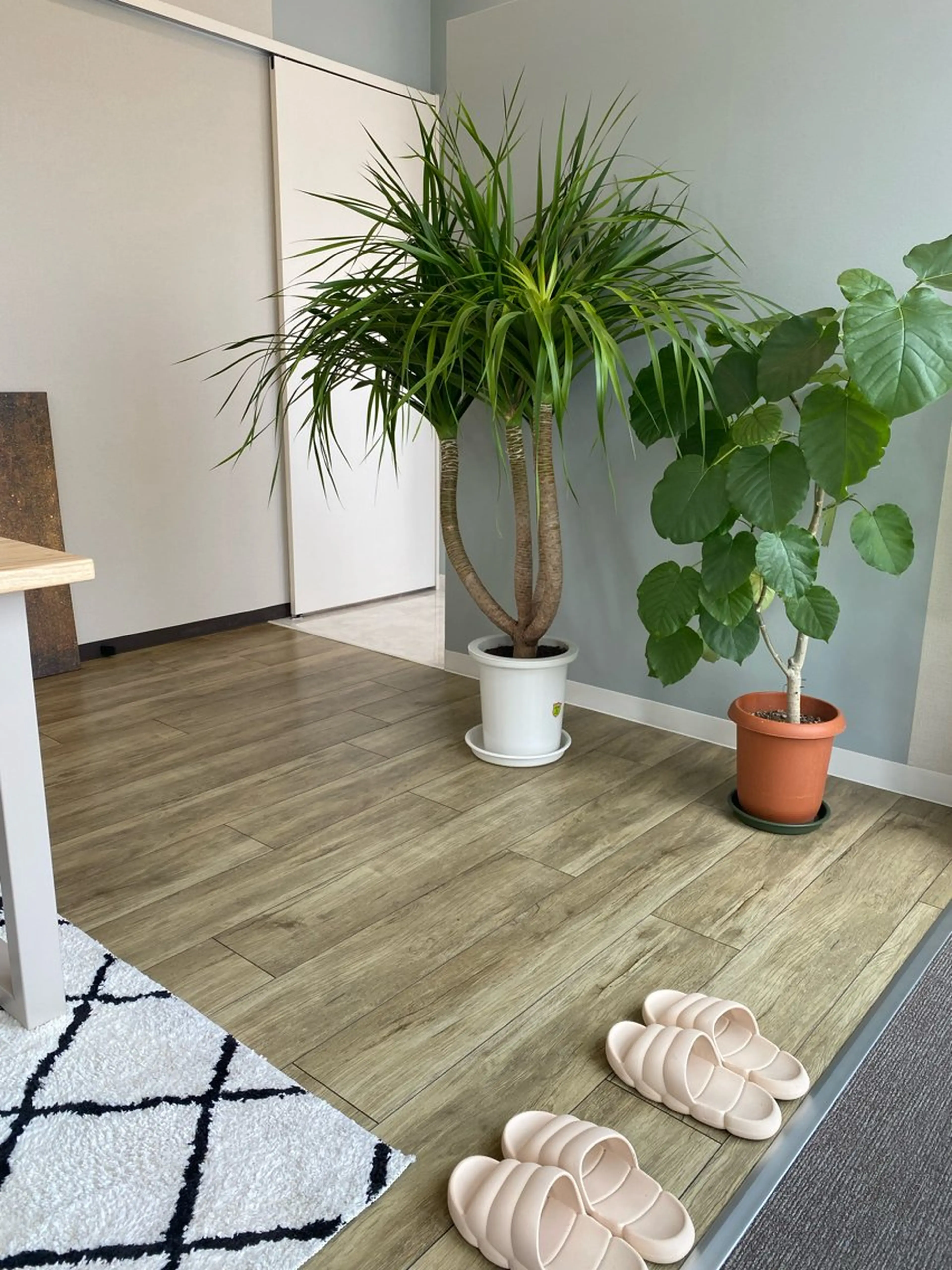 その他 エクシアホワイトニング草津店所属・nanami -ホワイトニングのその他イメージ