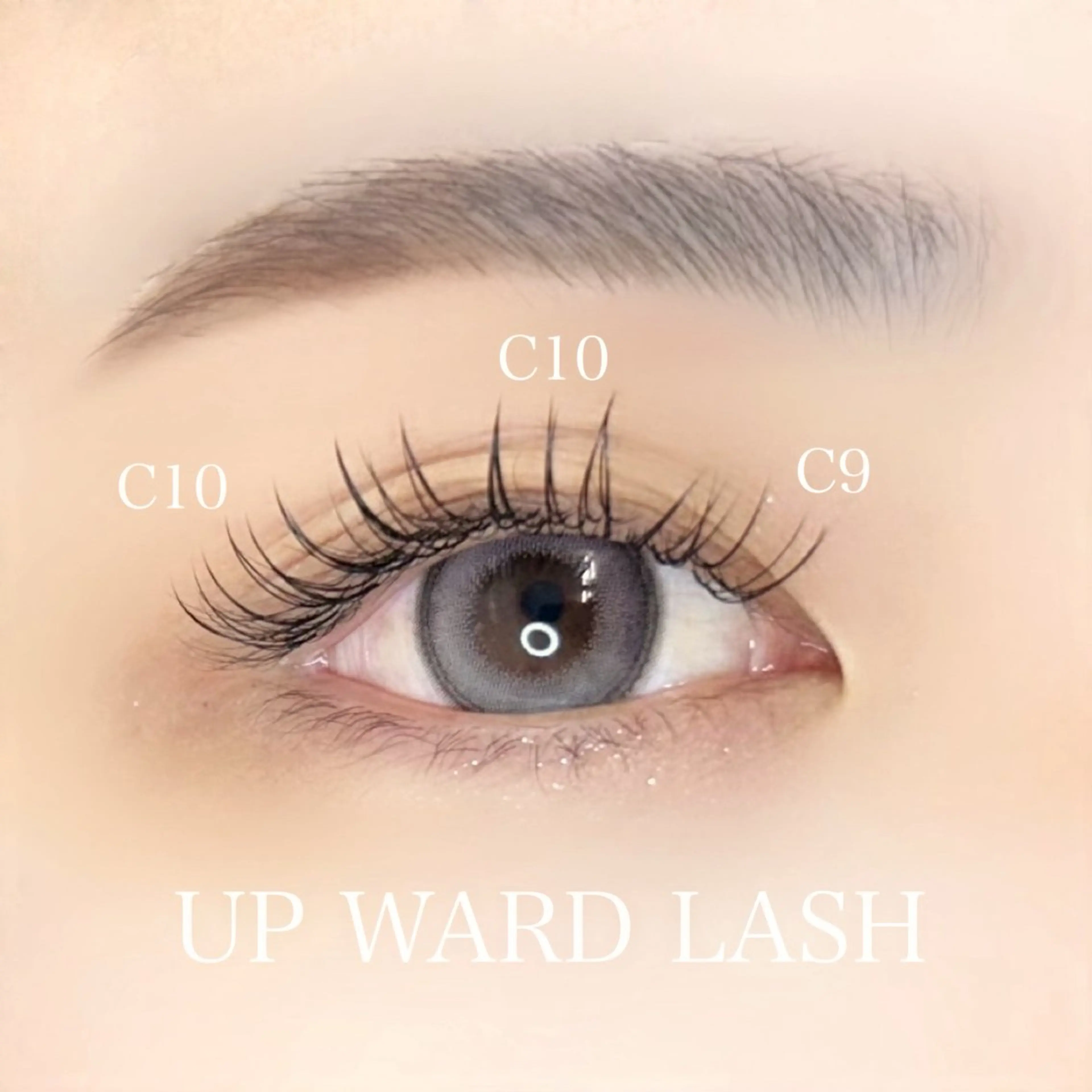 マツエク・マツパ マツエク Li aile所属・Li aile hikari 𖤐の眉毛・アイブロウイメージ