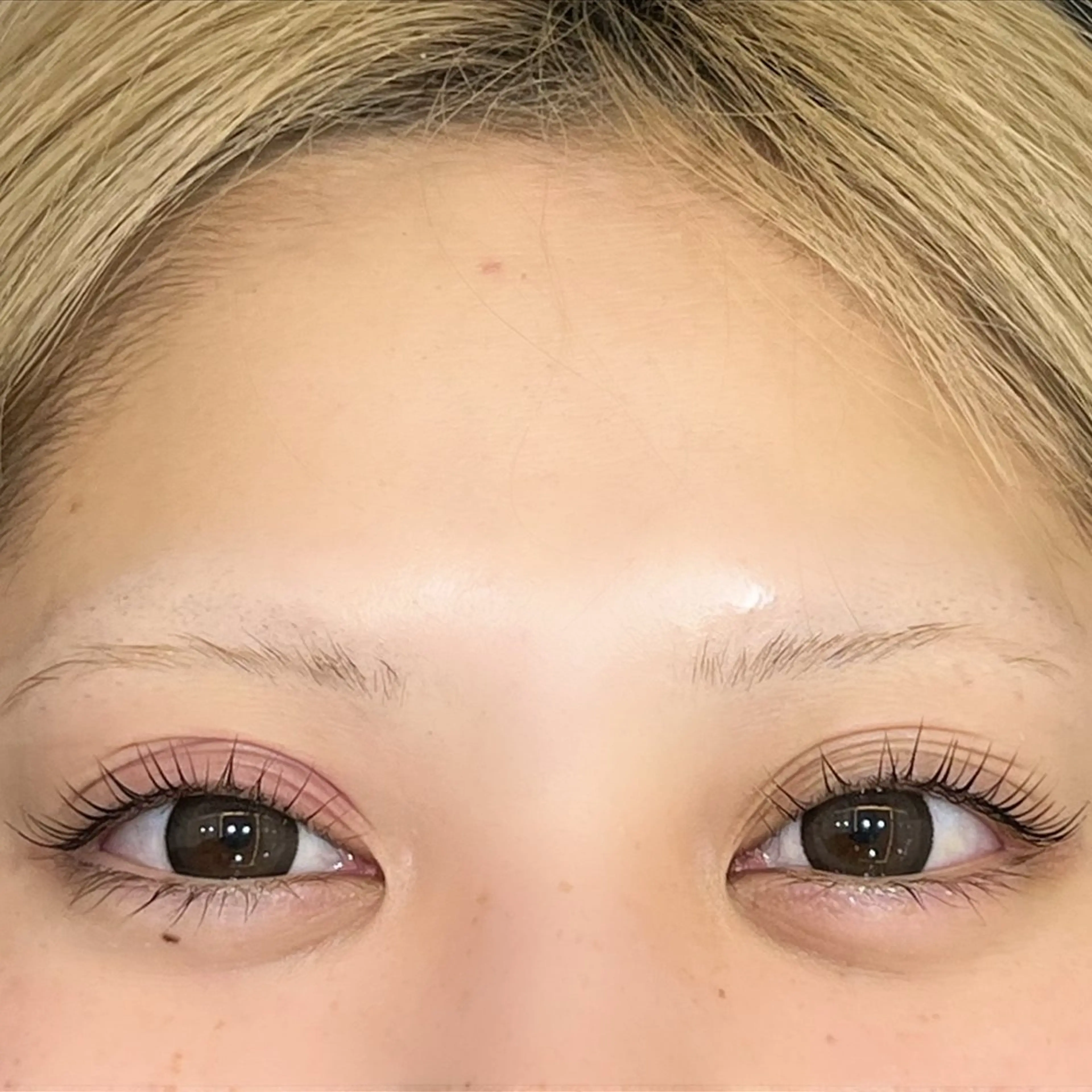 マツエク・マツパ マリーテレジア たかはしのマツエク・マツパデザイン