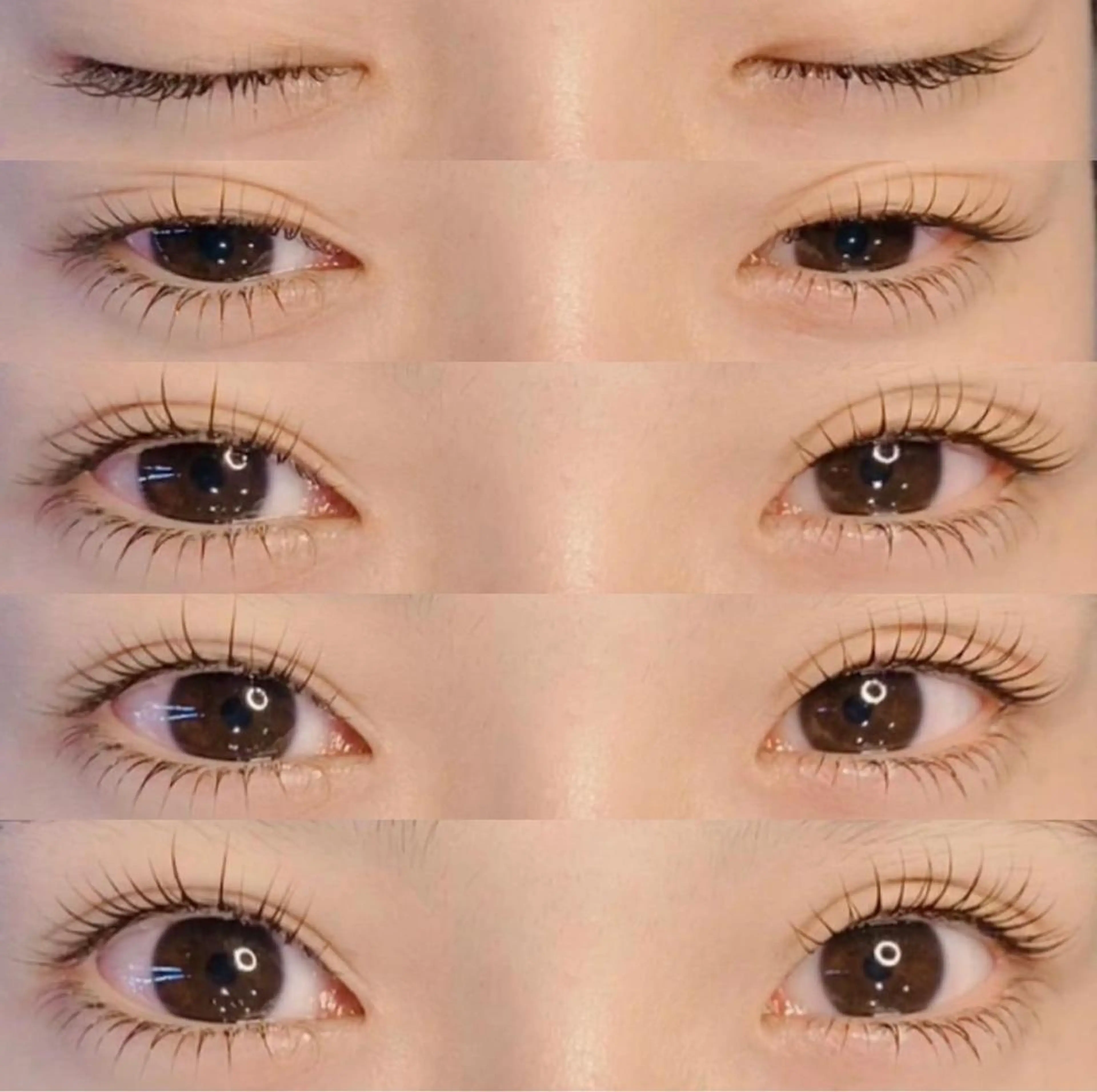 上下ラッシュリフトの写真