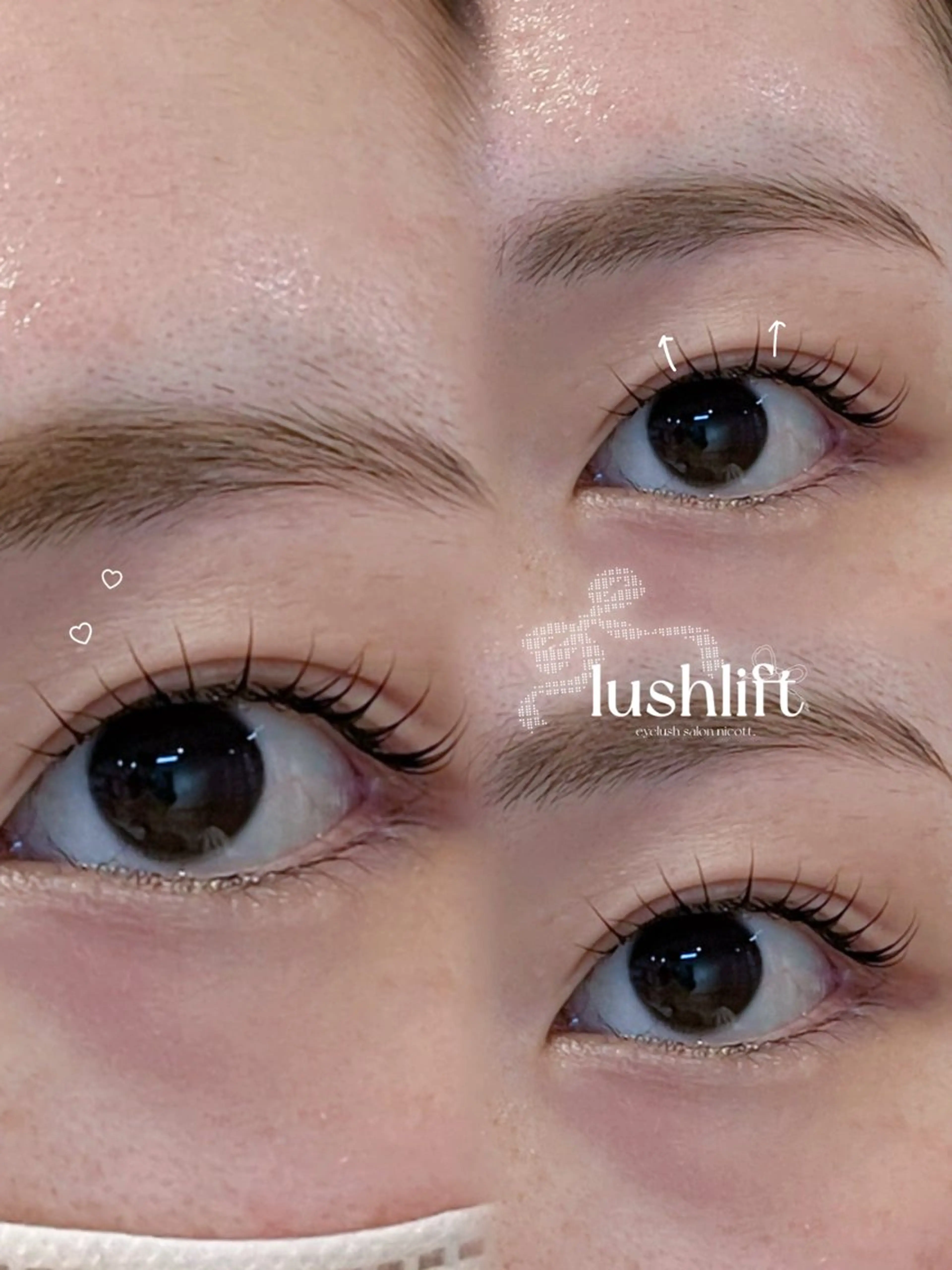 [平日限定✨️]上まつげパーマ🪄︎︎アイシャンプー・コーティング仕上げの写真