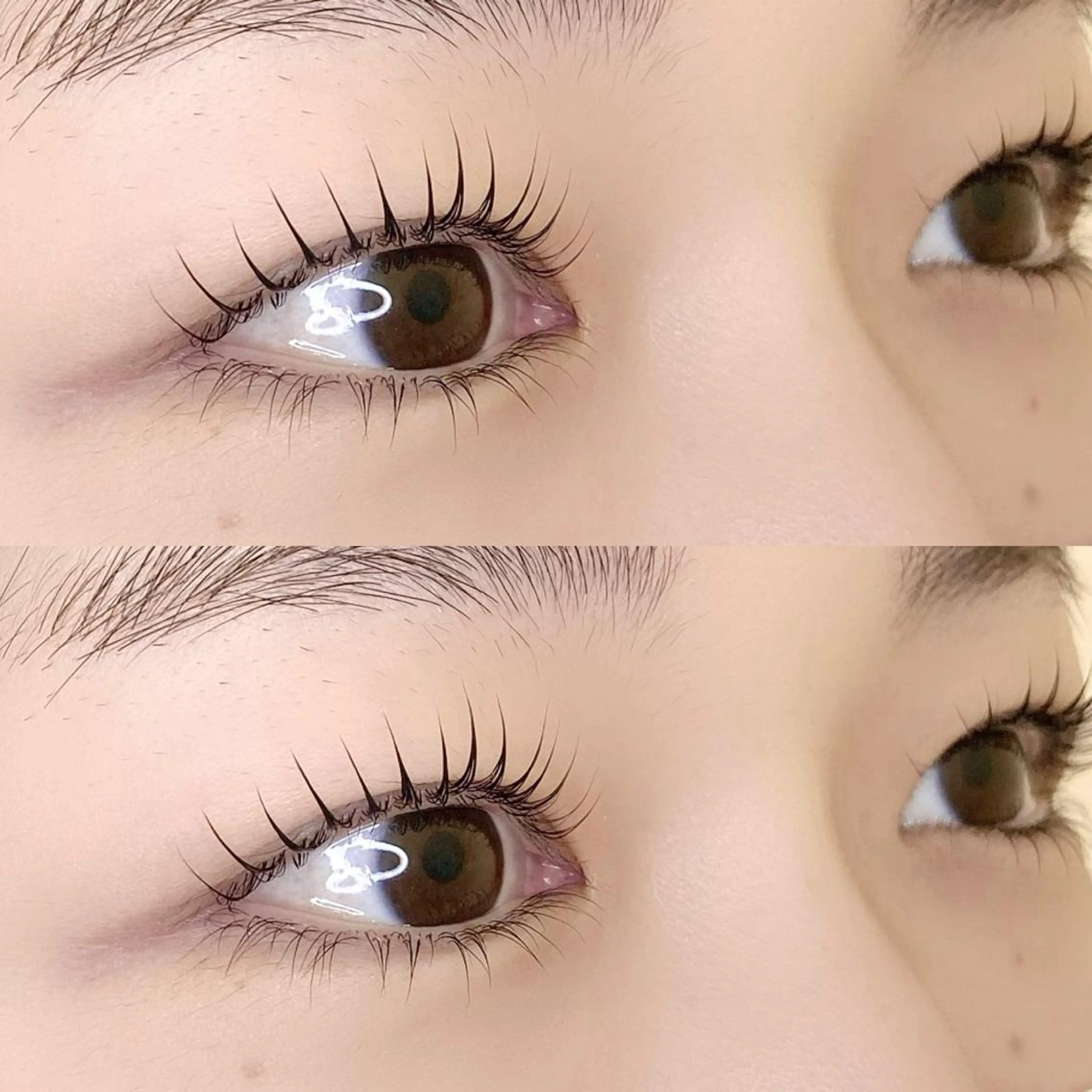 【平日18時までのご来店限定】人気No.1♡似合わせラッシュリフト上まつ毛パーマの写真