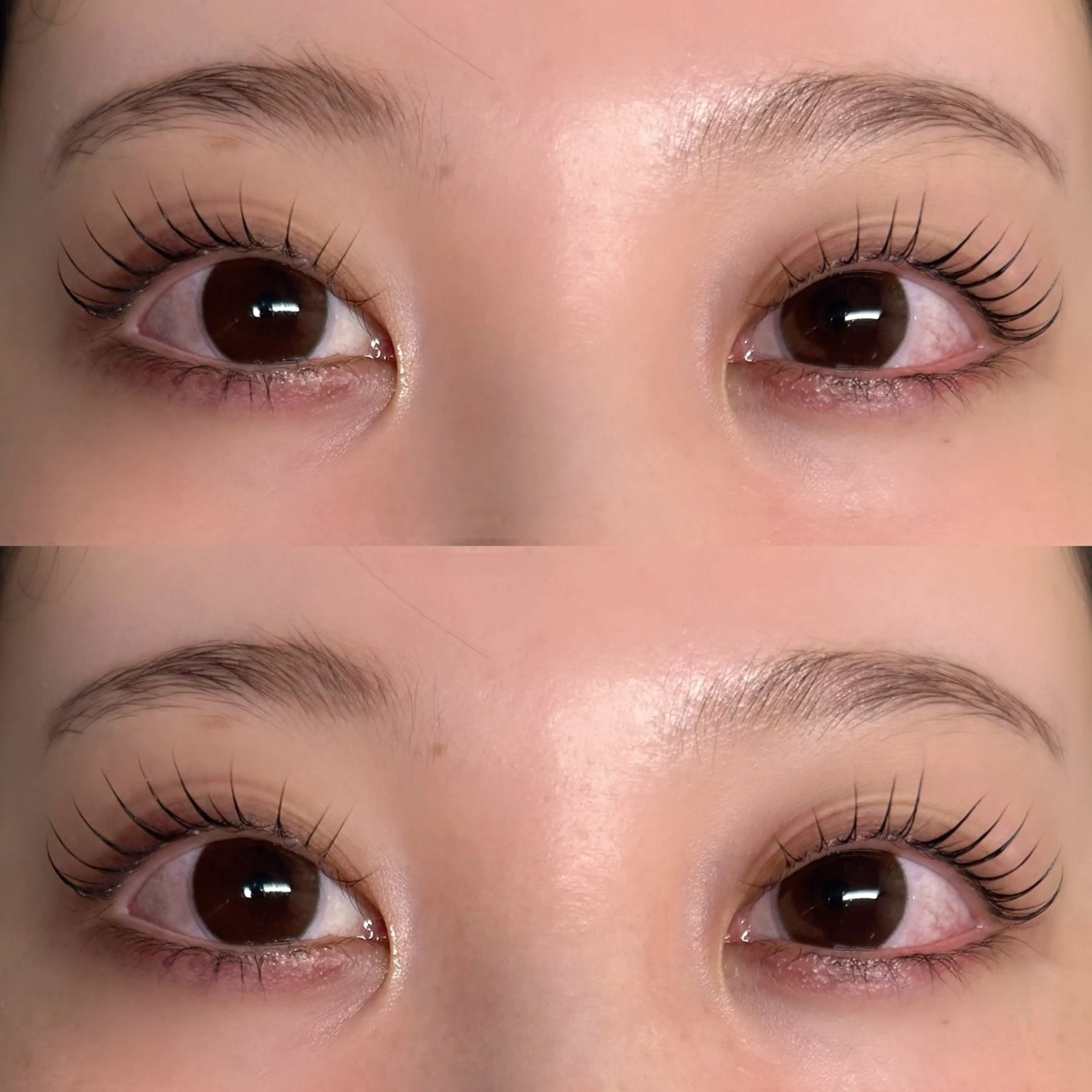 マツエク・マツパ MONDO mayuのマツエク・マツパデザイン