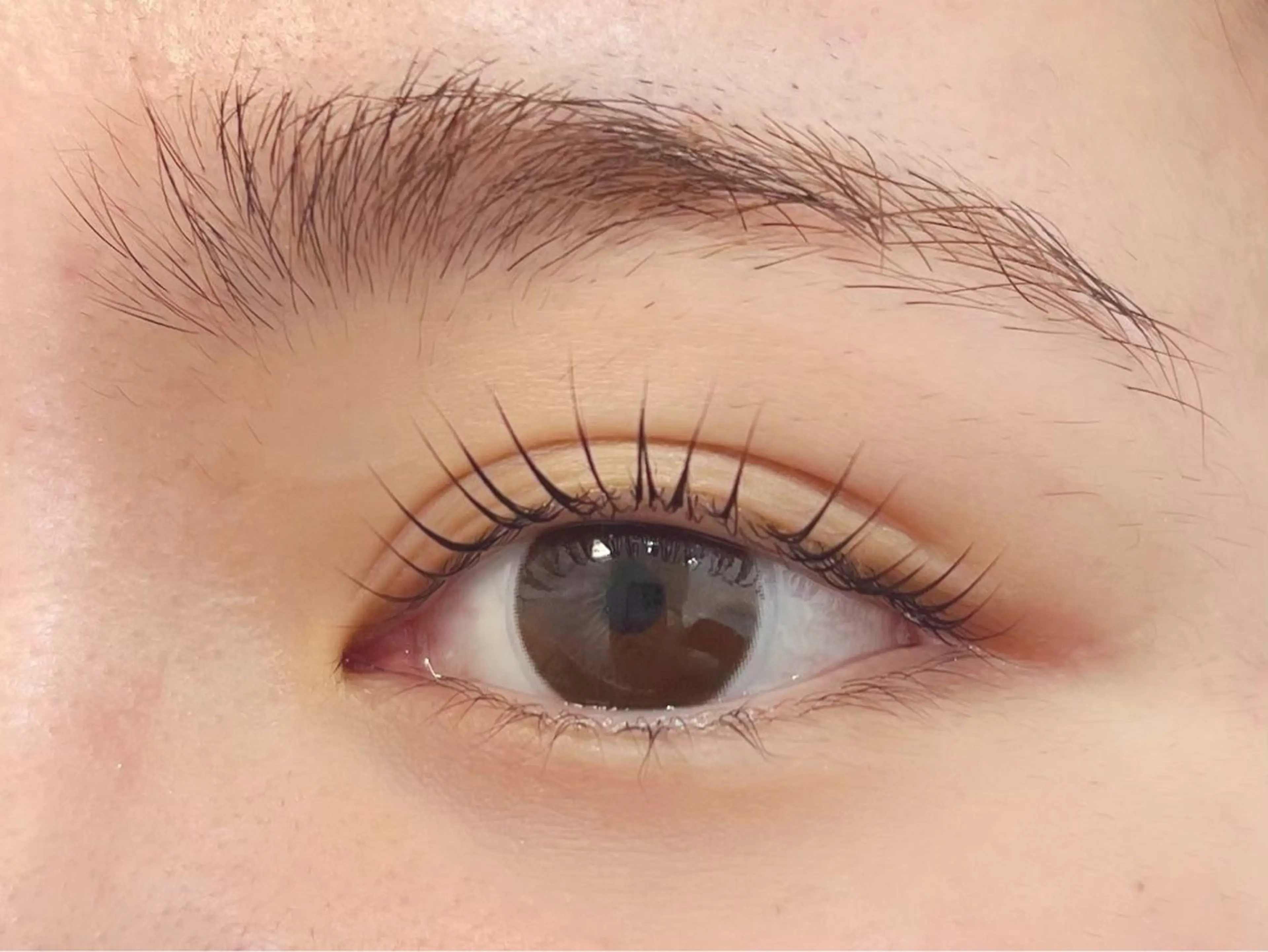 マツエク・マツパ eL エル　京都西院店所属・eL 田中のマツエク・マツパデザイン