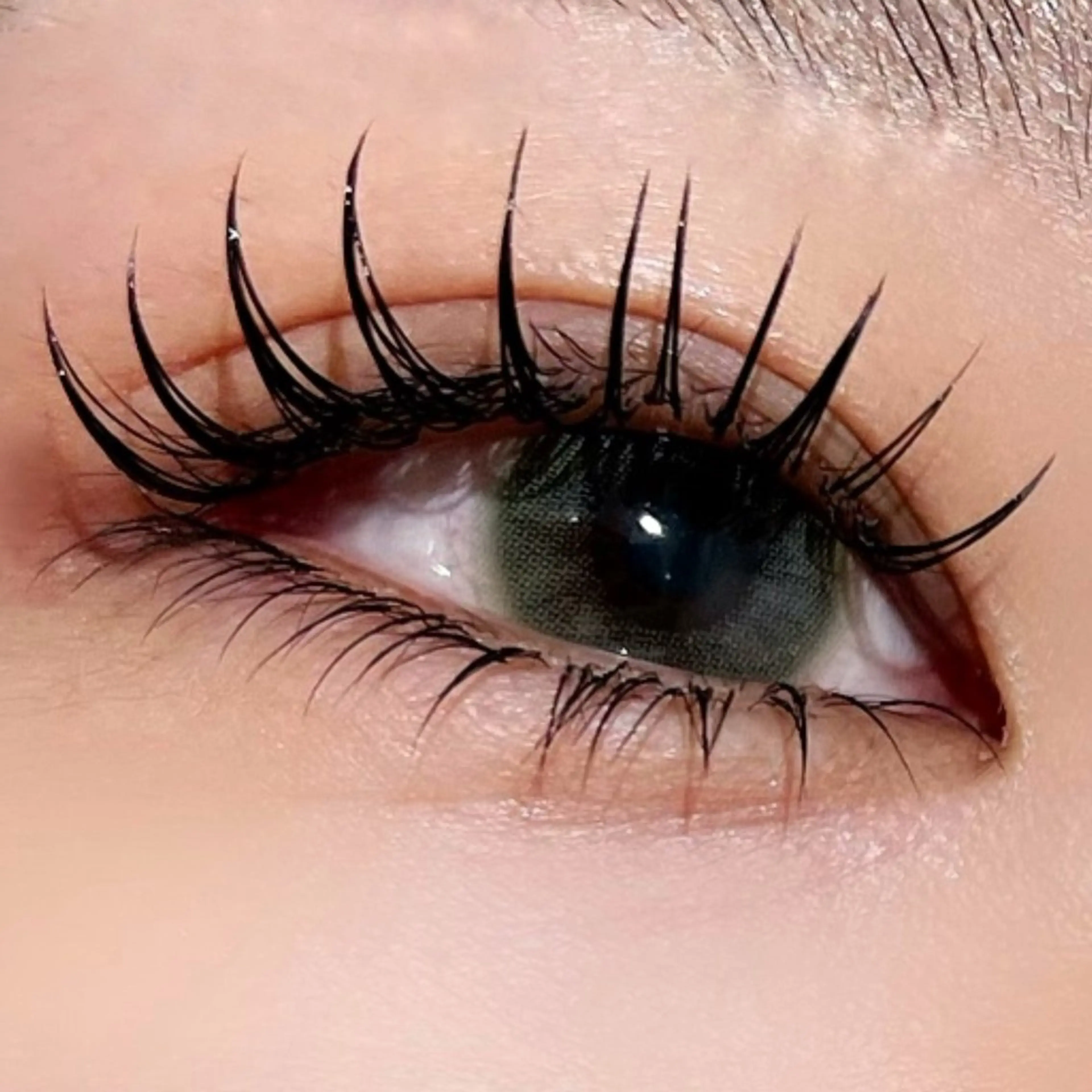 🍊新規 .*✿フラットラッシュ​〜​180本まで付け放題の写真