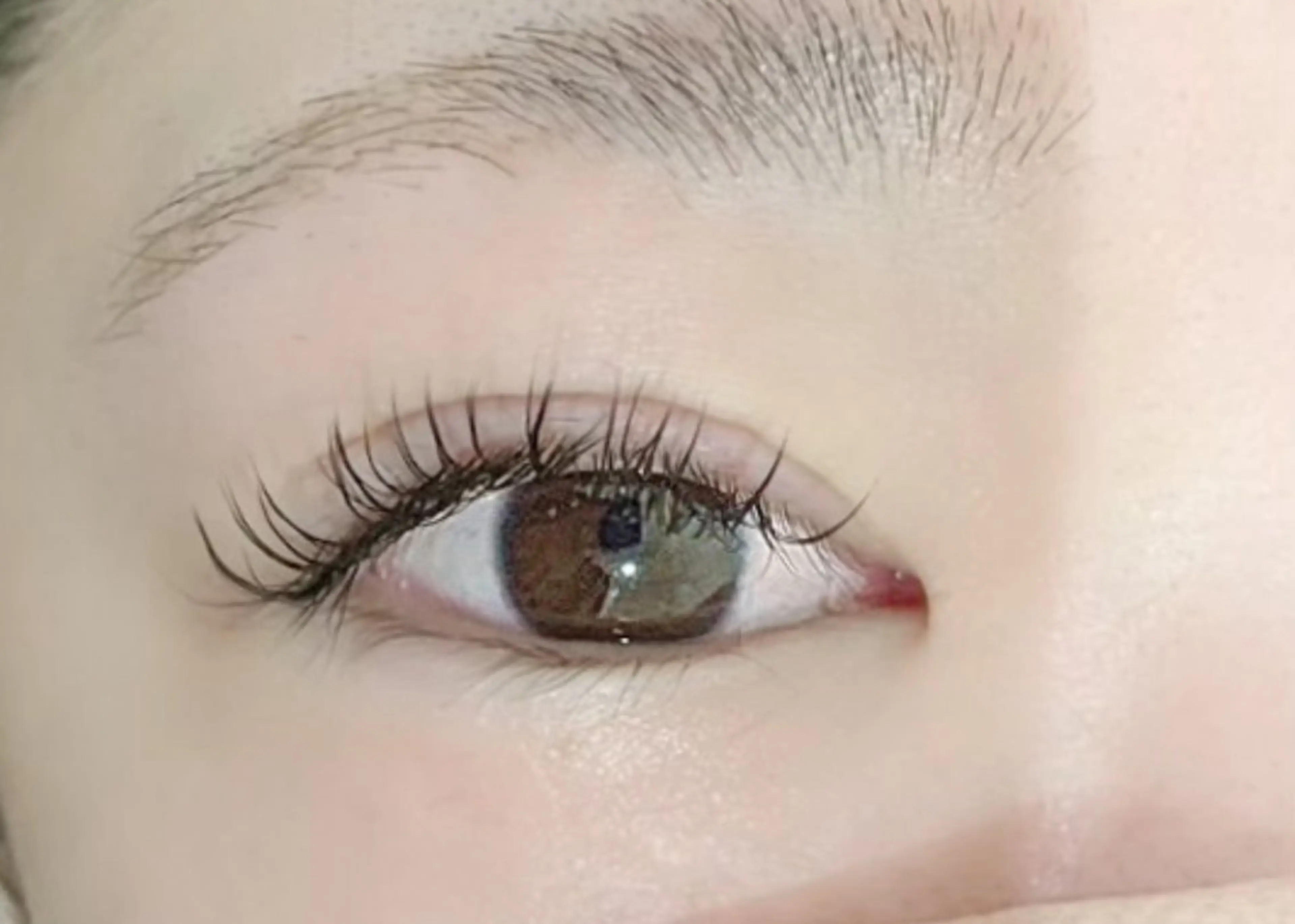 【ご新規様限定】フラットラッシュ120本 オフ有りの写真