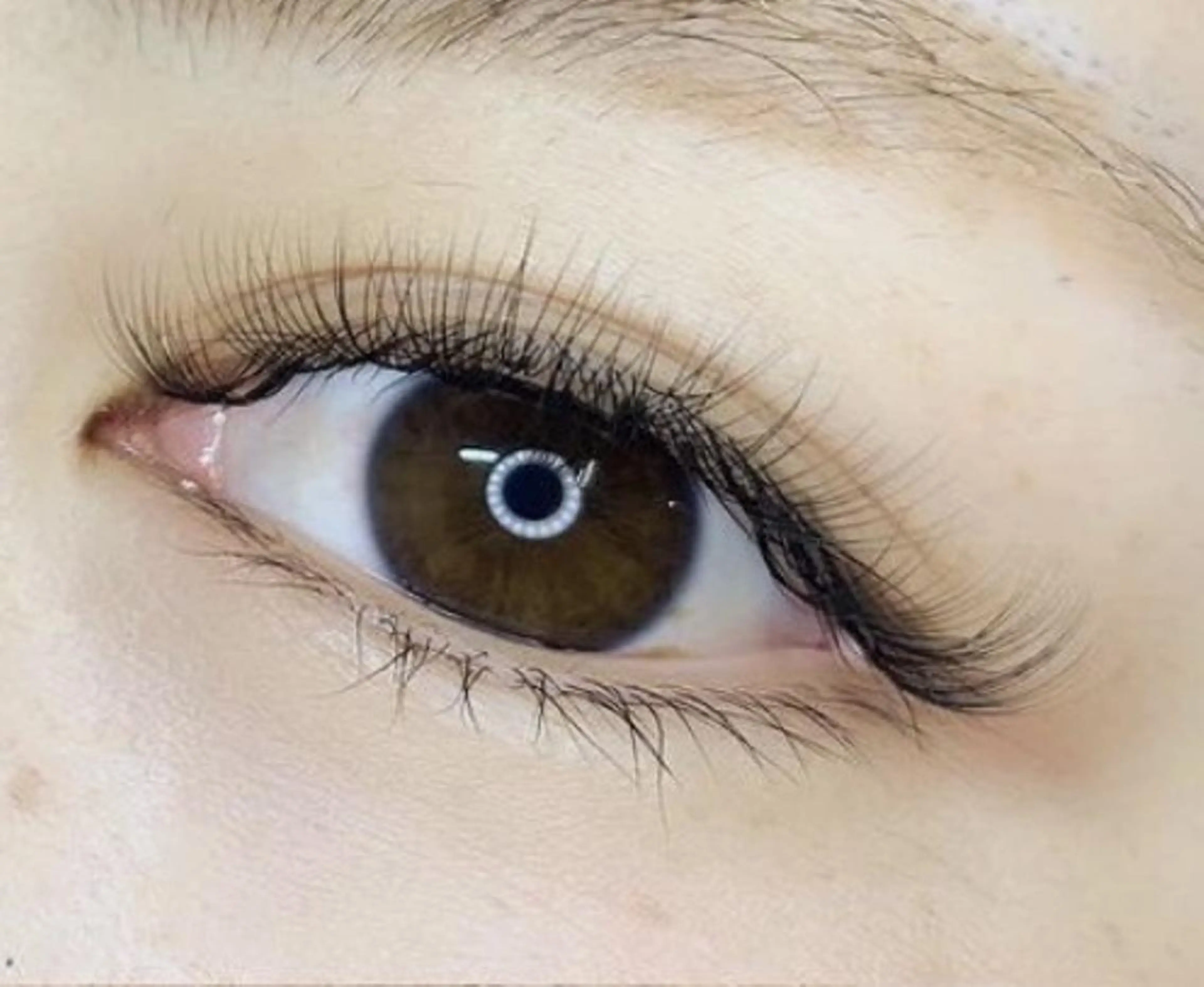 マツエク・マツパ La.Foxy Staffのマツエク・マツパデザイン