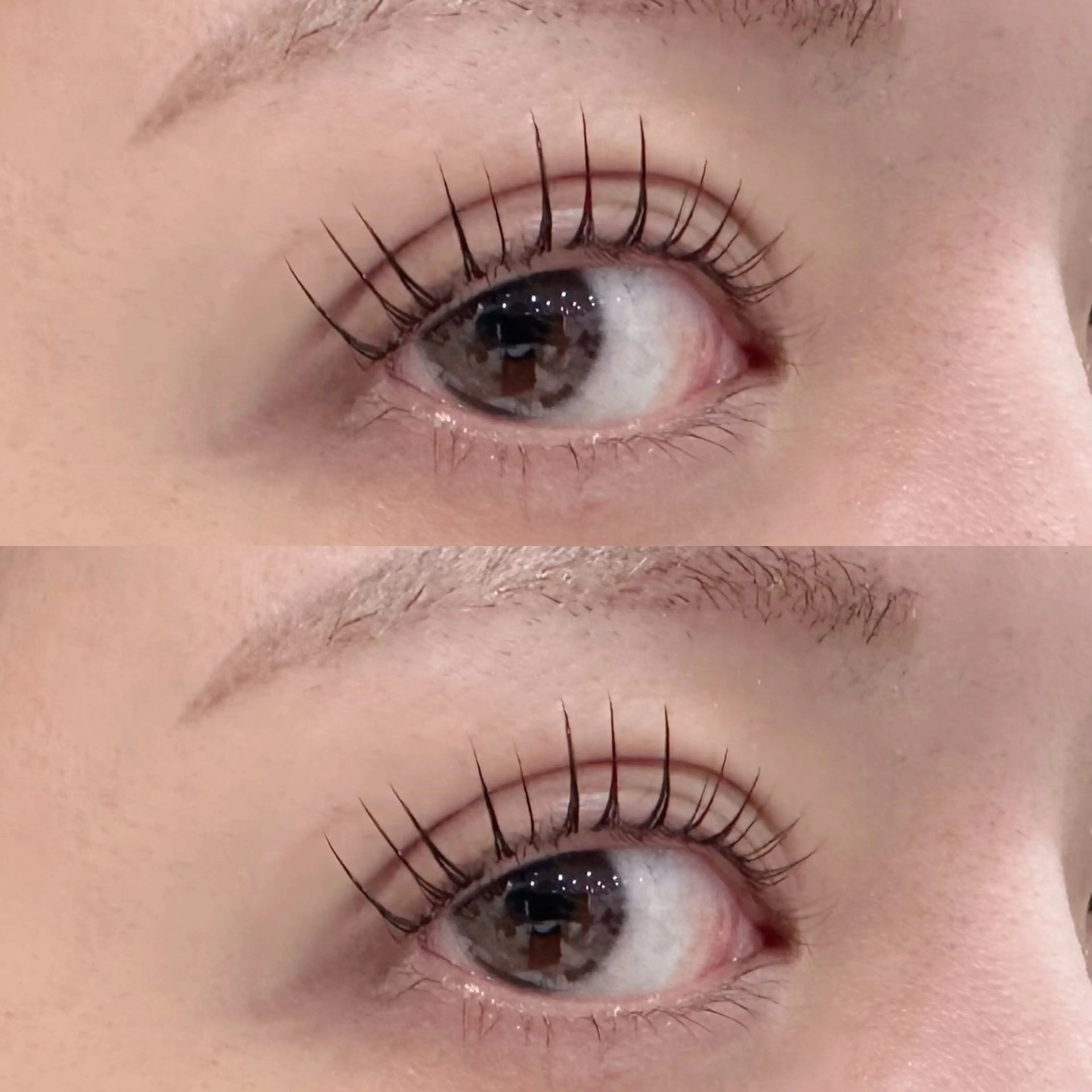 12月限定🎄LEDエクステ140本【コーティング剤1本プレゼント】の写真