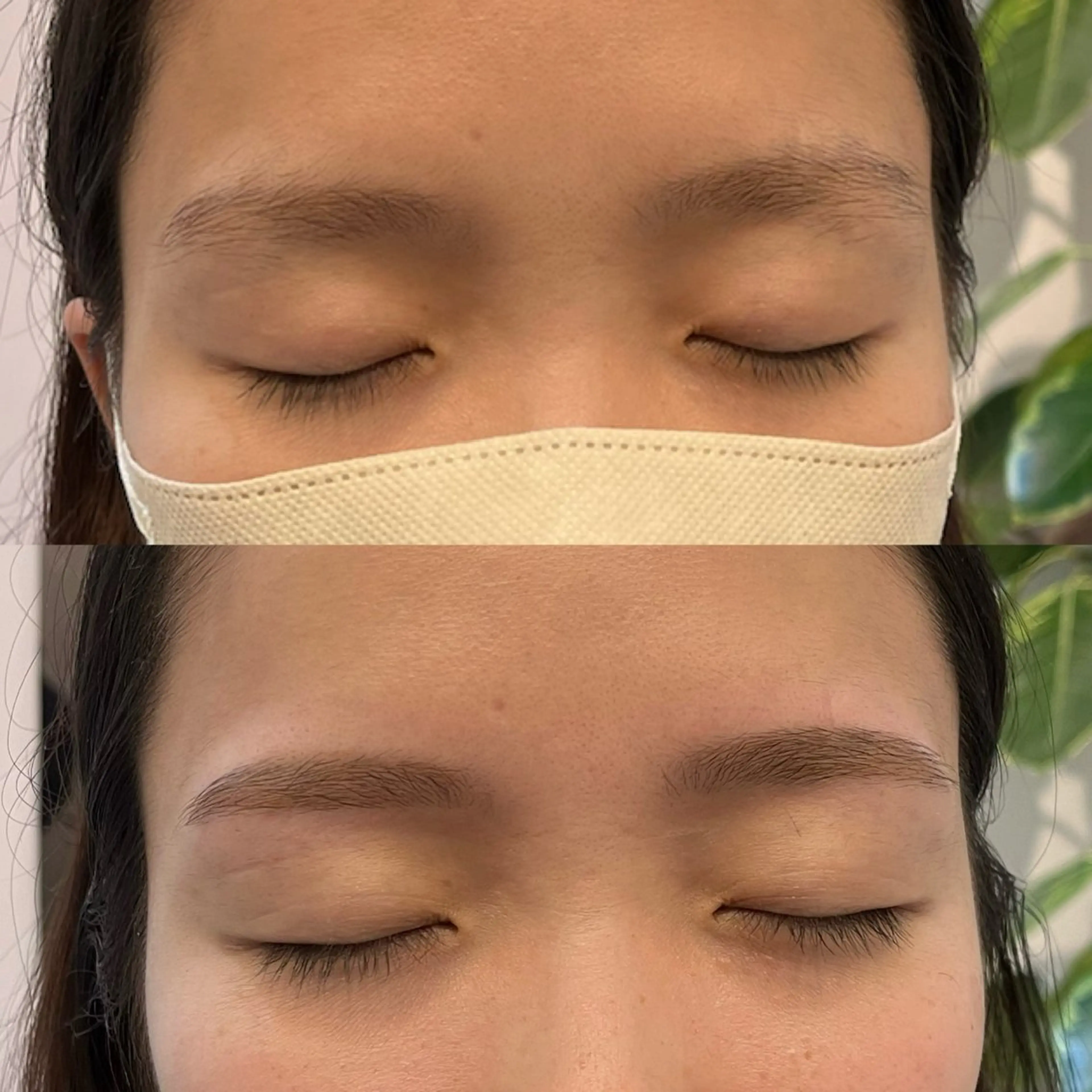 🪴モデルmenu : 眉WAX＋眉パーマ(アイブロウリフト) 🪴眉カット付きの写真