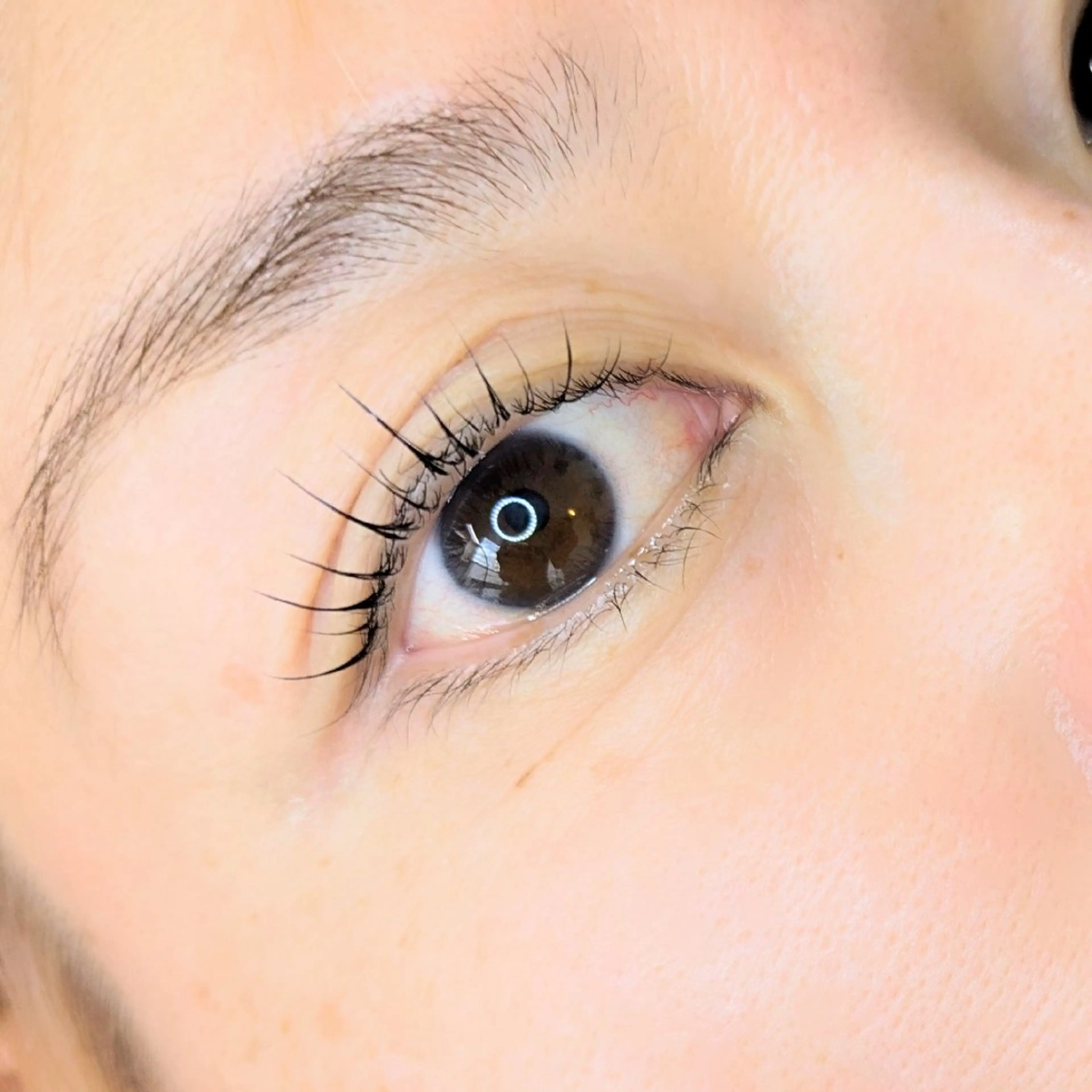 マツエク・マツパ マツパ ｱｲﾗｯｼｭ ﾈｲﾙ ｻﾛﾝ つけるのマツエク・マツパデザイン