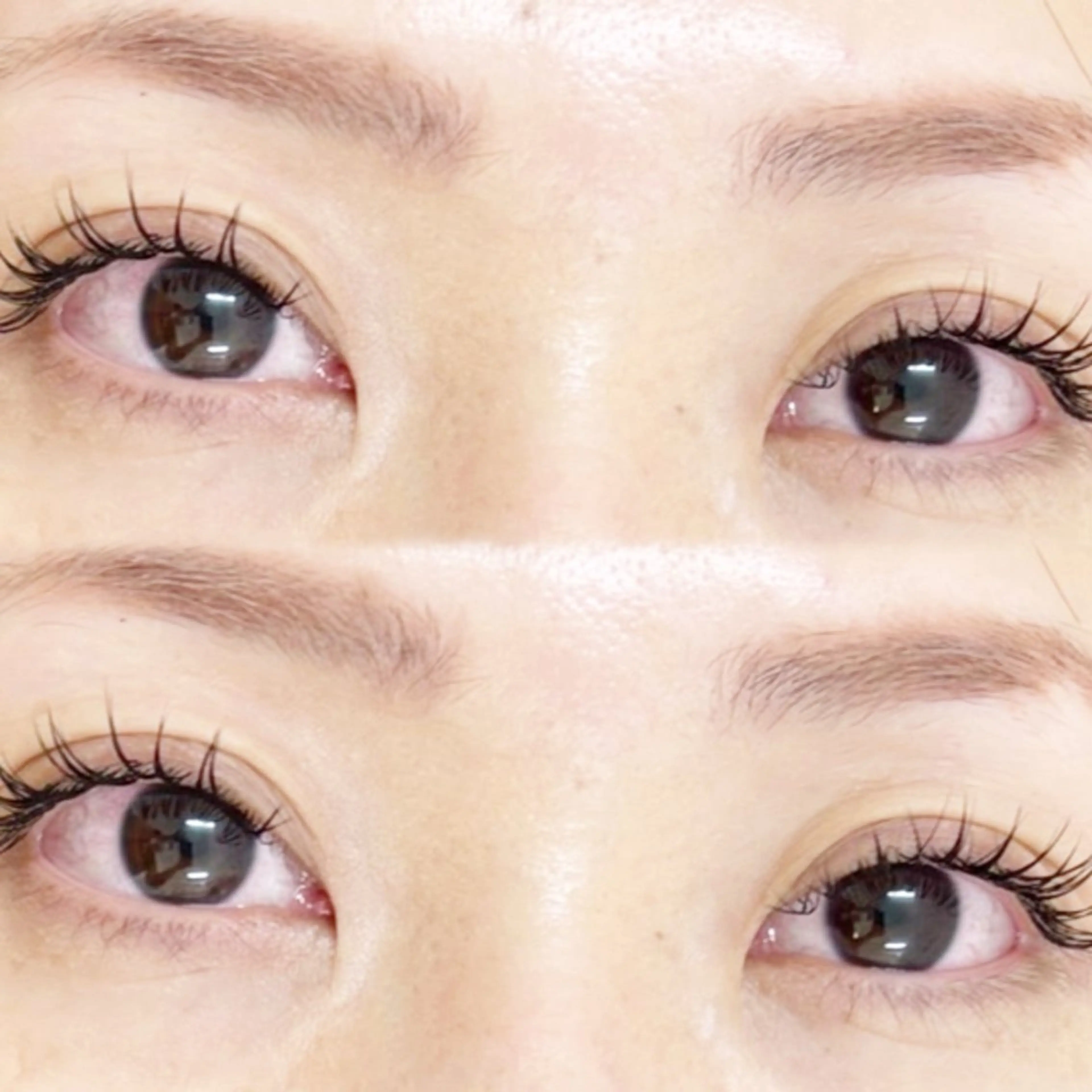 オフなしセーブルエクステ2時間付け放題モデルの写真