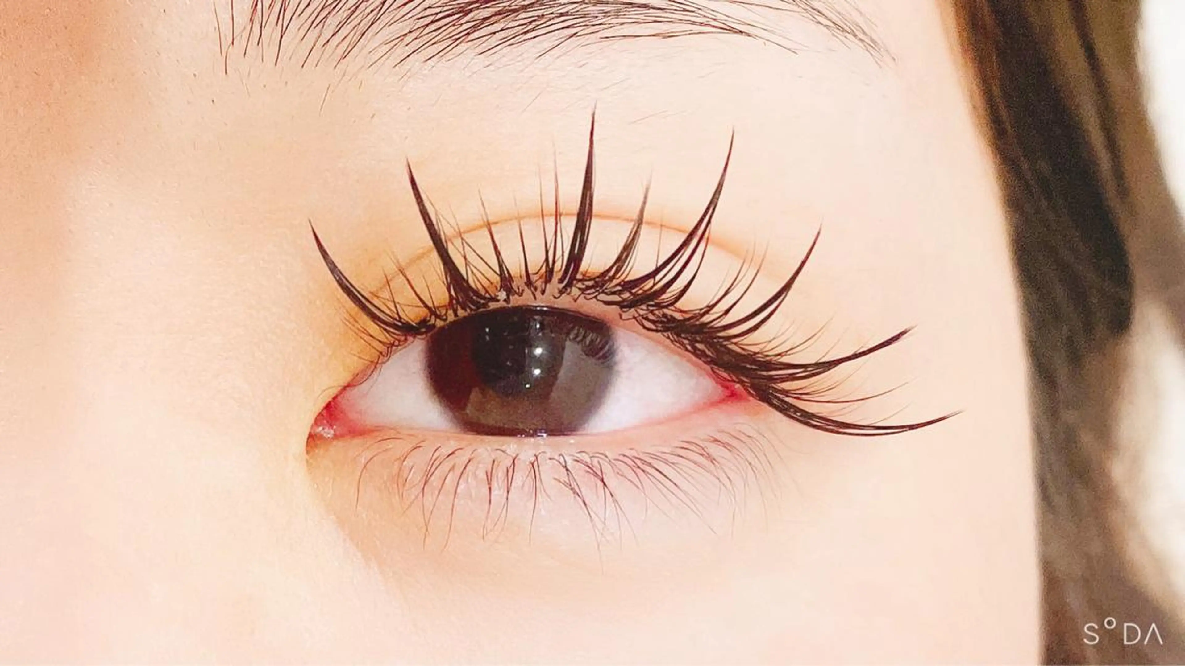 マツエク・マツパ ワンホンマツエク 尾上 茉由のマツエク・マツパデザイン