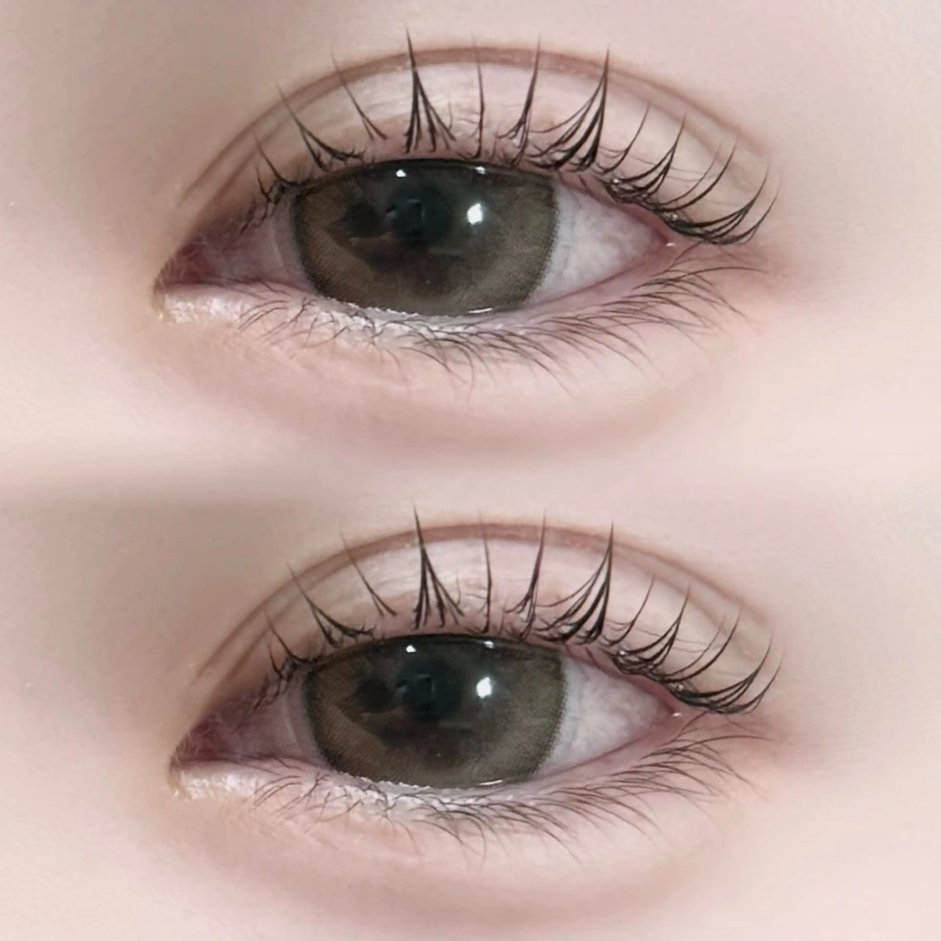 まつ毛パーマ(コーティング付)🇰🇷の写真