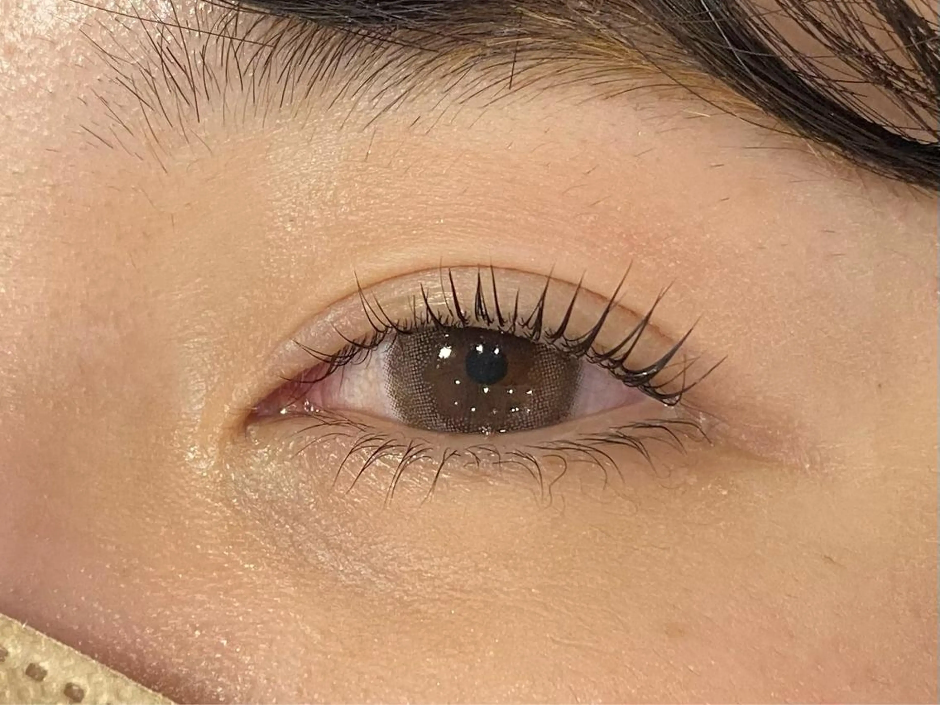 マツエク・マツパ マリーテレジア SHIONのマツエク・マツパデザイン