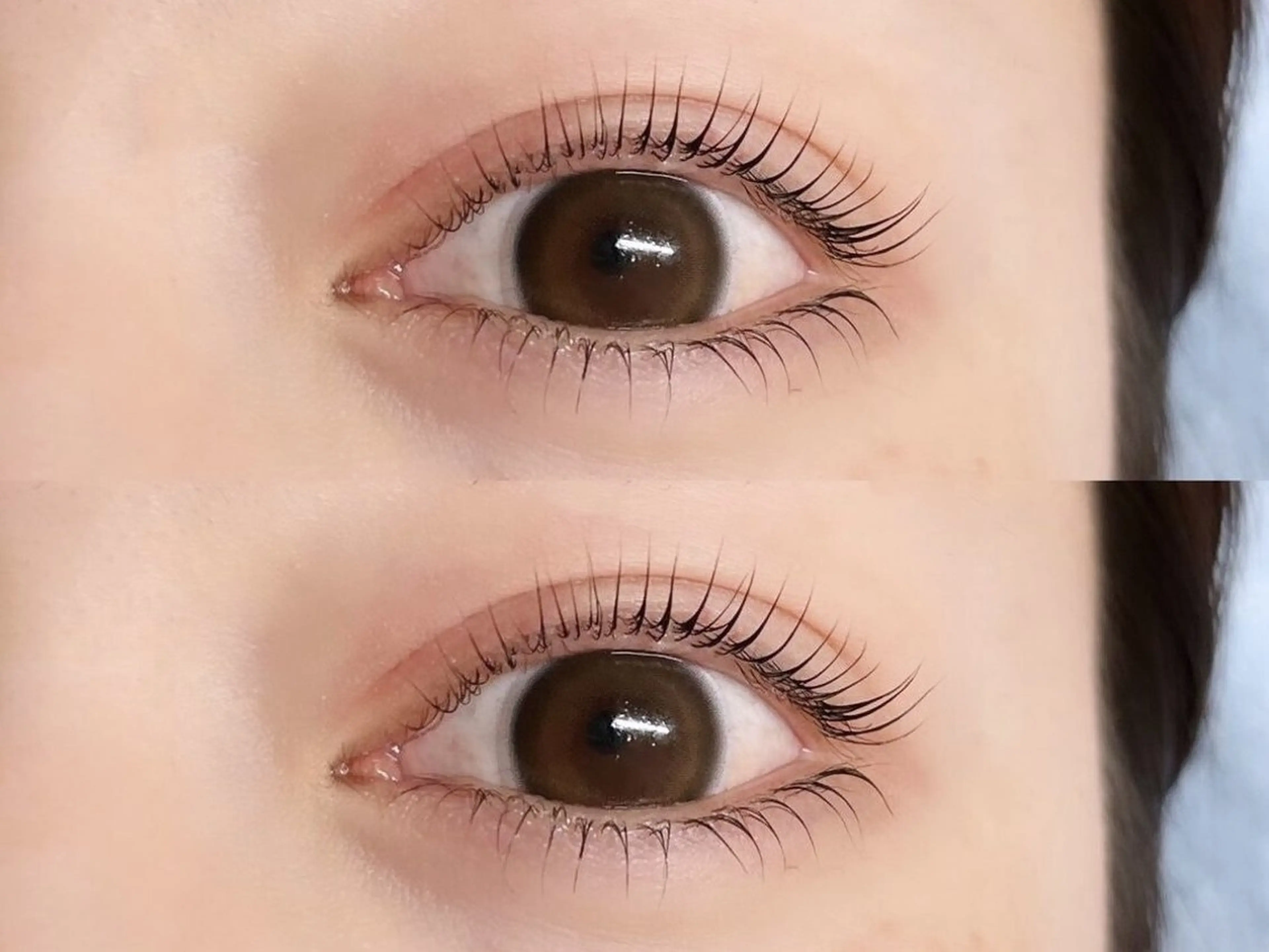 【期間限定🛋️】上下パリジェンヌラッシュリフト(コーティング仕上げ付)/束感/天神の写真